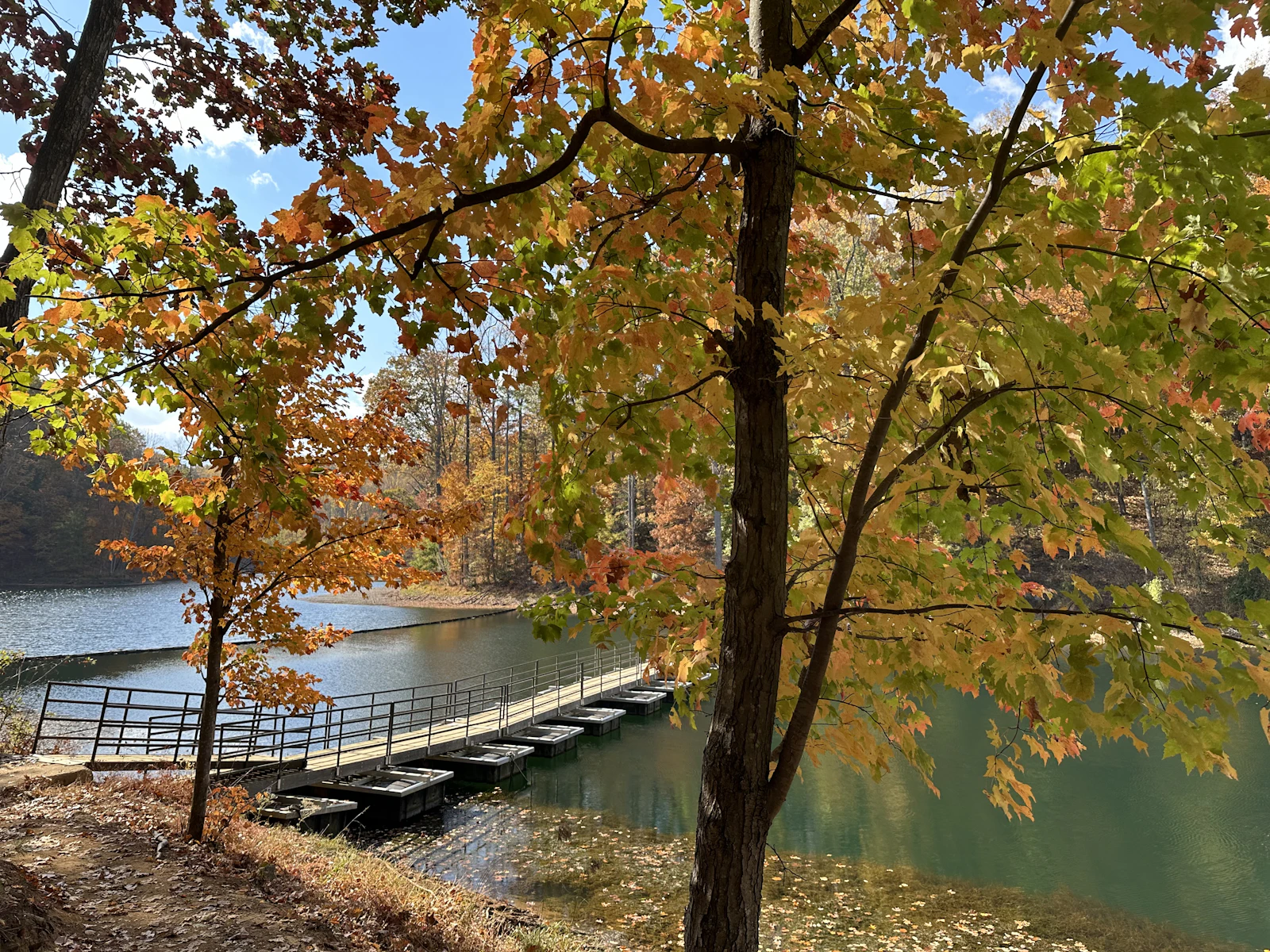 Charlottesville, Virginia photo 21 by Saikat Bandyopadhyay