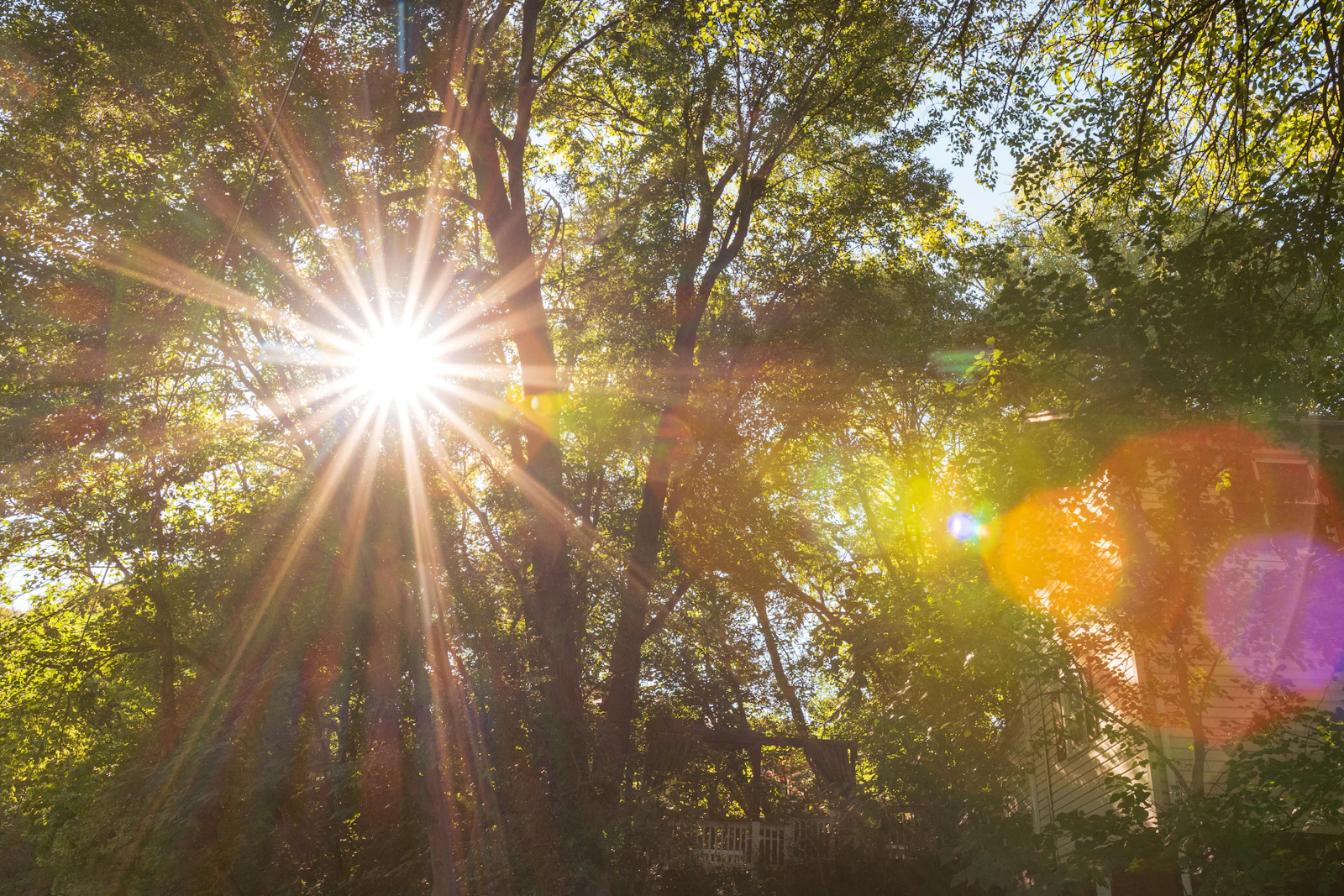 Luray, Virginia photo 11 by Samuel Girven