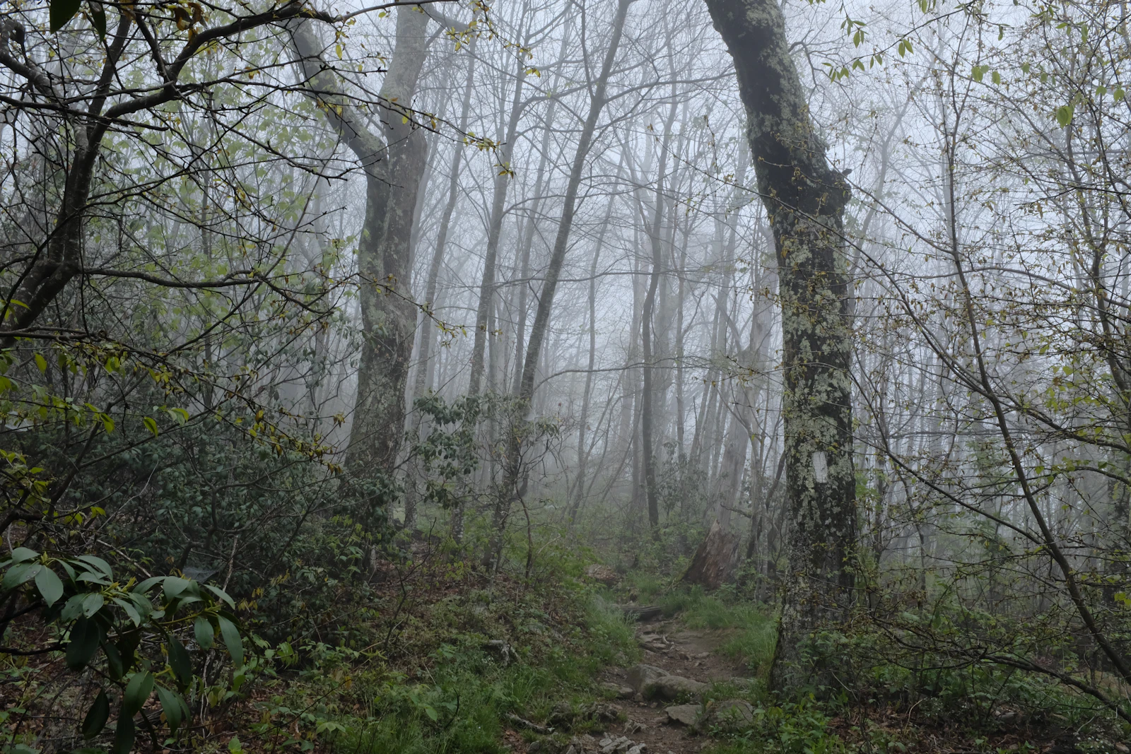 Luray, Virginia photo 19 by Girma Nigusse