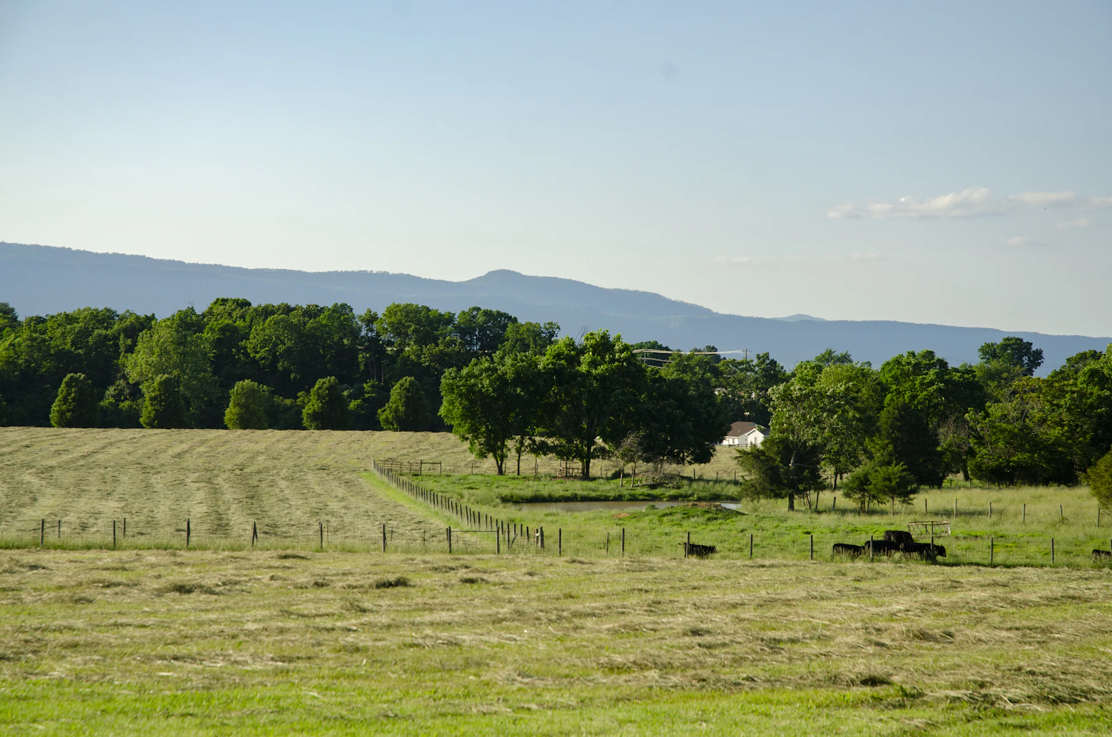Luray, Virginia photo 24 by Emi Mo