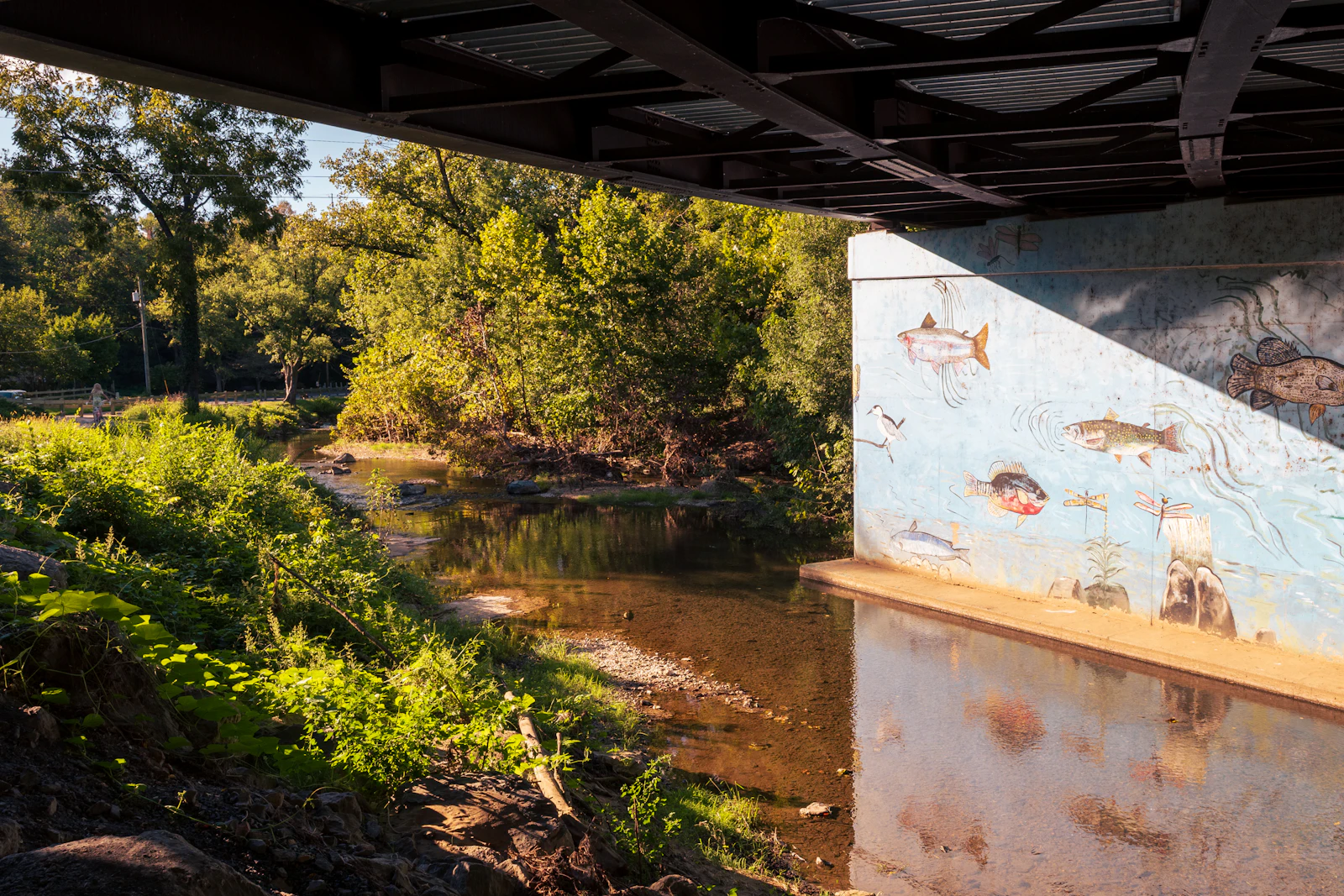 Luray, Virginia photo 8 by Samuel Girven