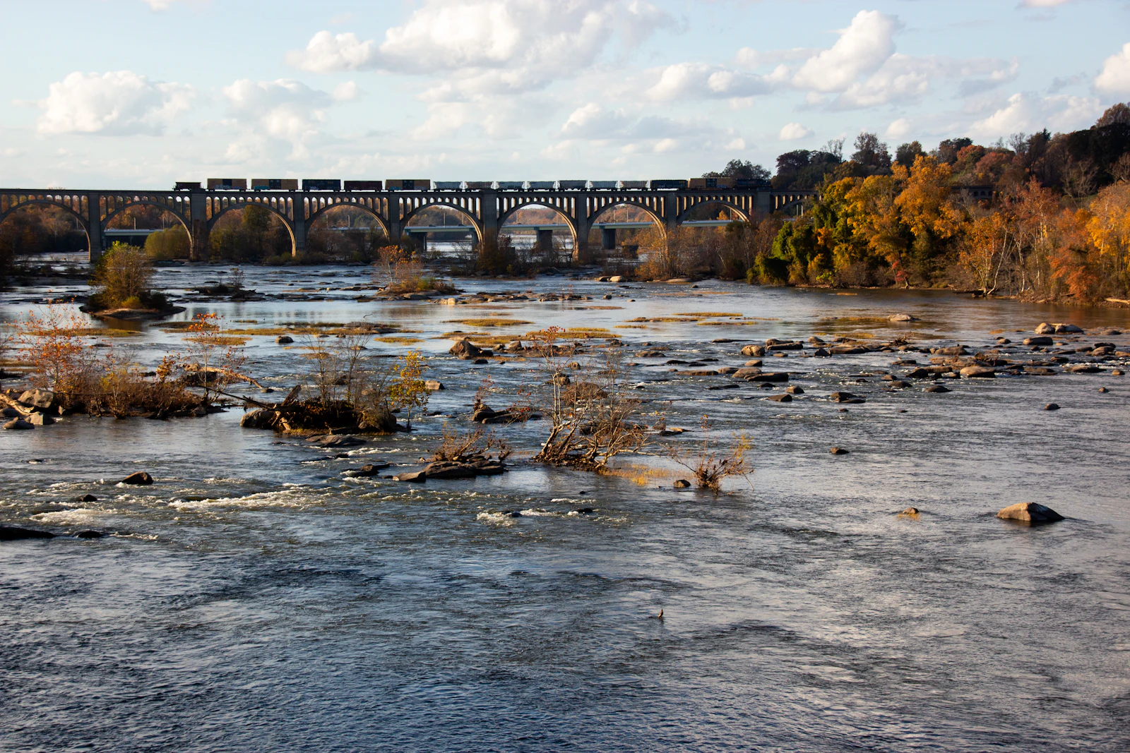 Richmond, Virginia photo 5 by Salomé Guruli