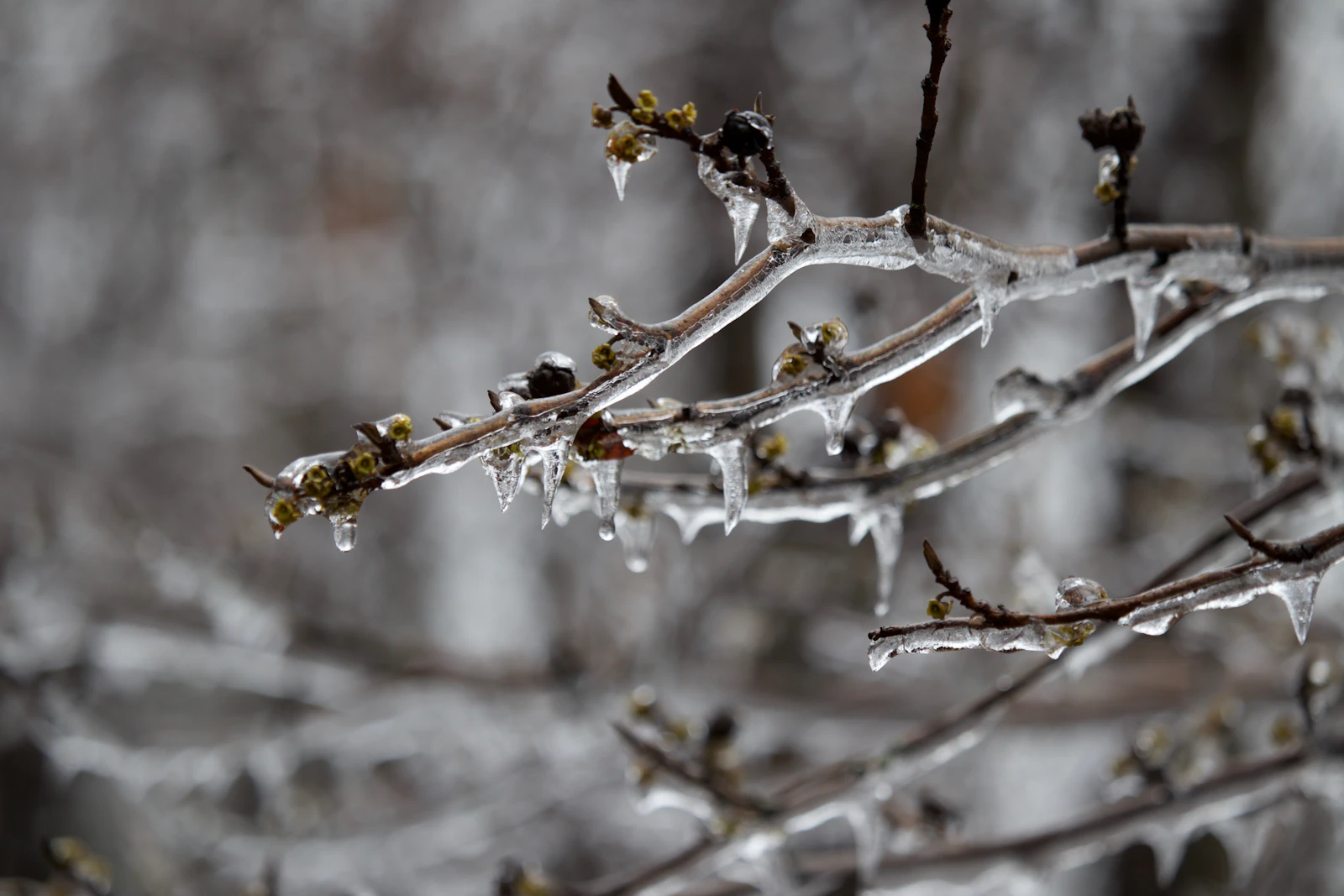 Roanoke, Virginia photo 7 by Tadd Sipes