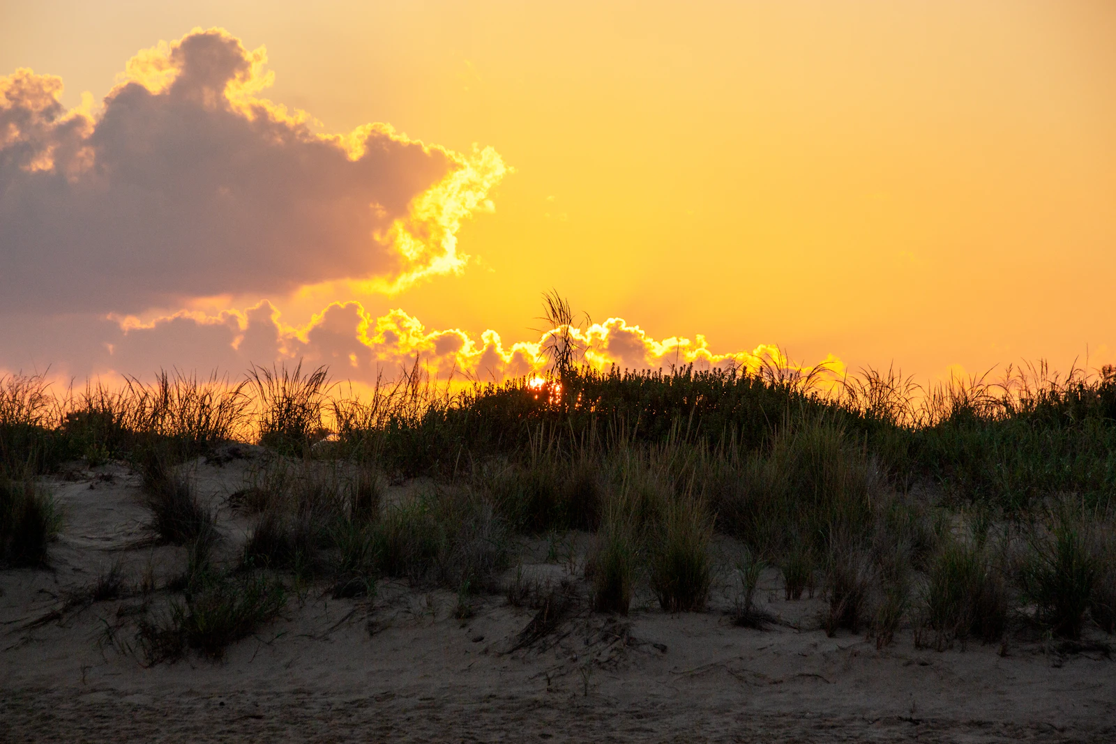 Virginia Beach, Virginia photo 19 by Salomé Guruli