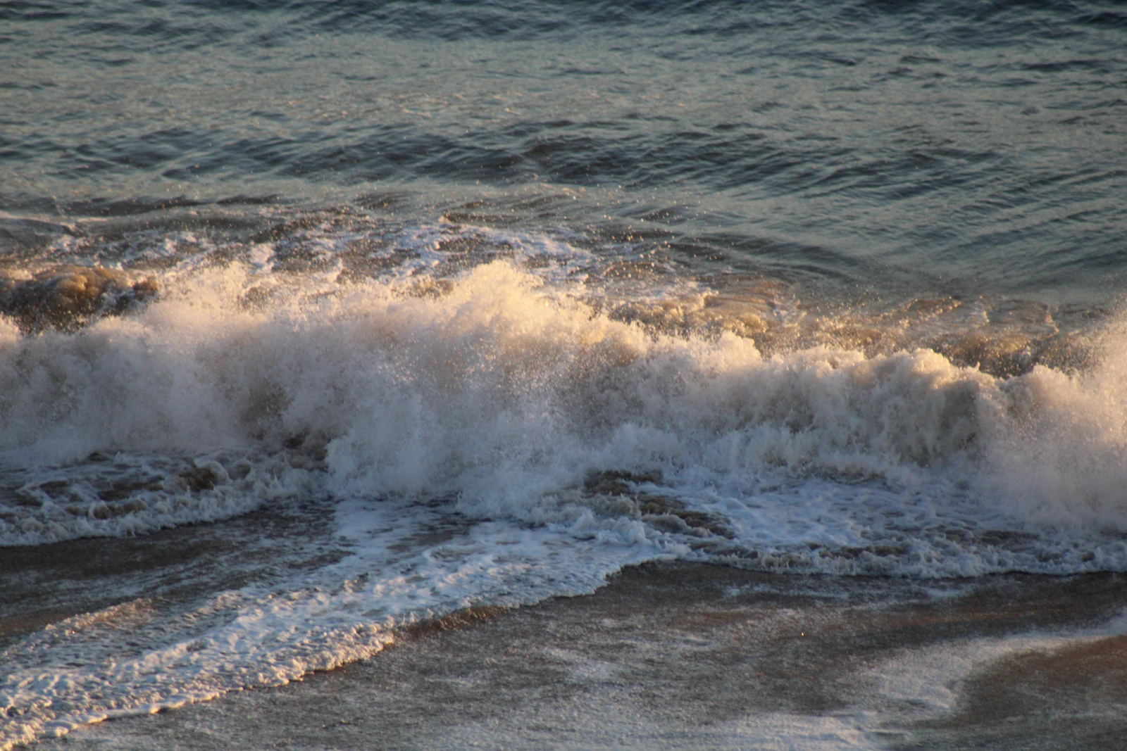Virginia Beach, Virginia photo 17 by K Adams