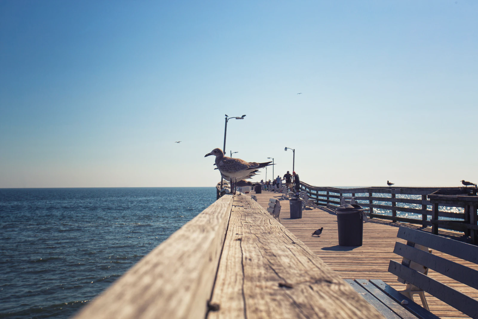 Virginia Beach, Virginia photo 15 by Lison Zhao