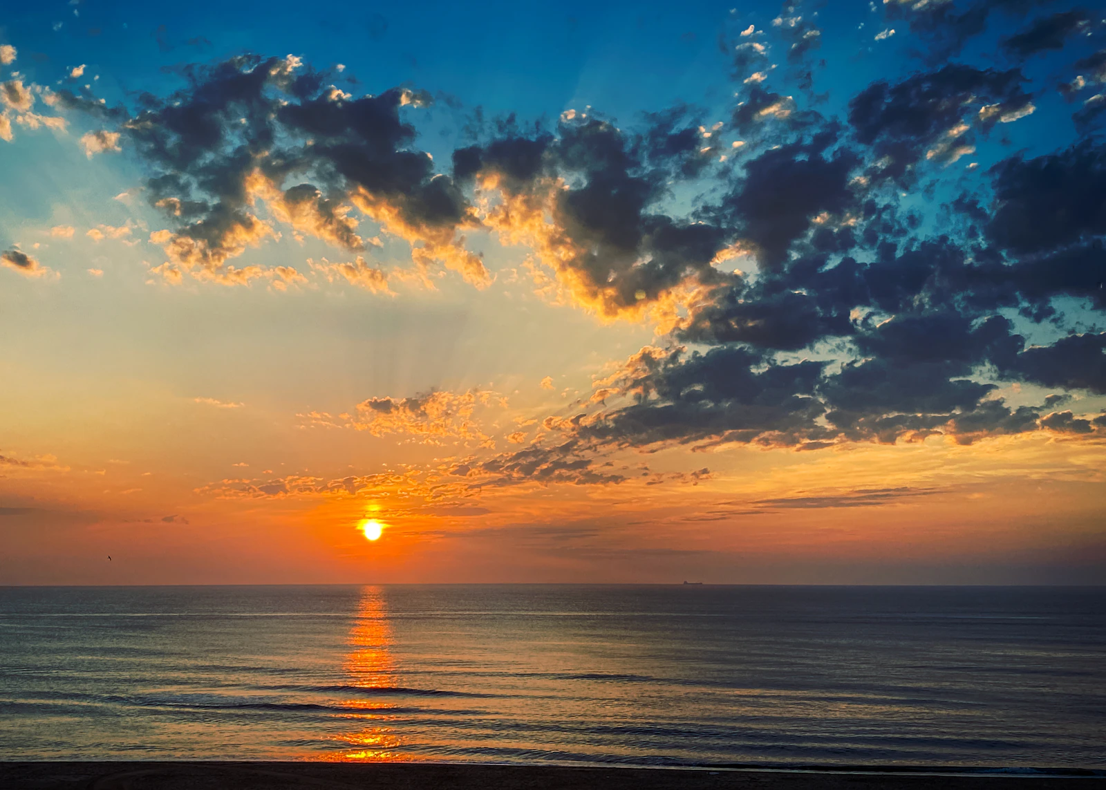 Virginia Beach, Virginia photo 27 by Jenn Bible