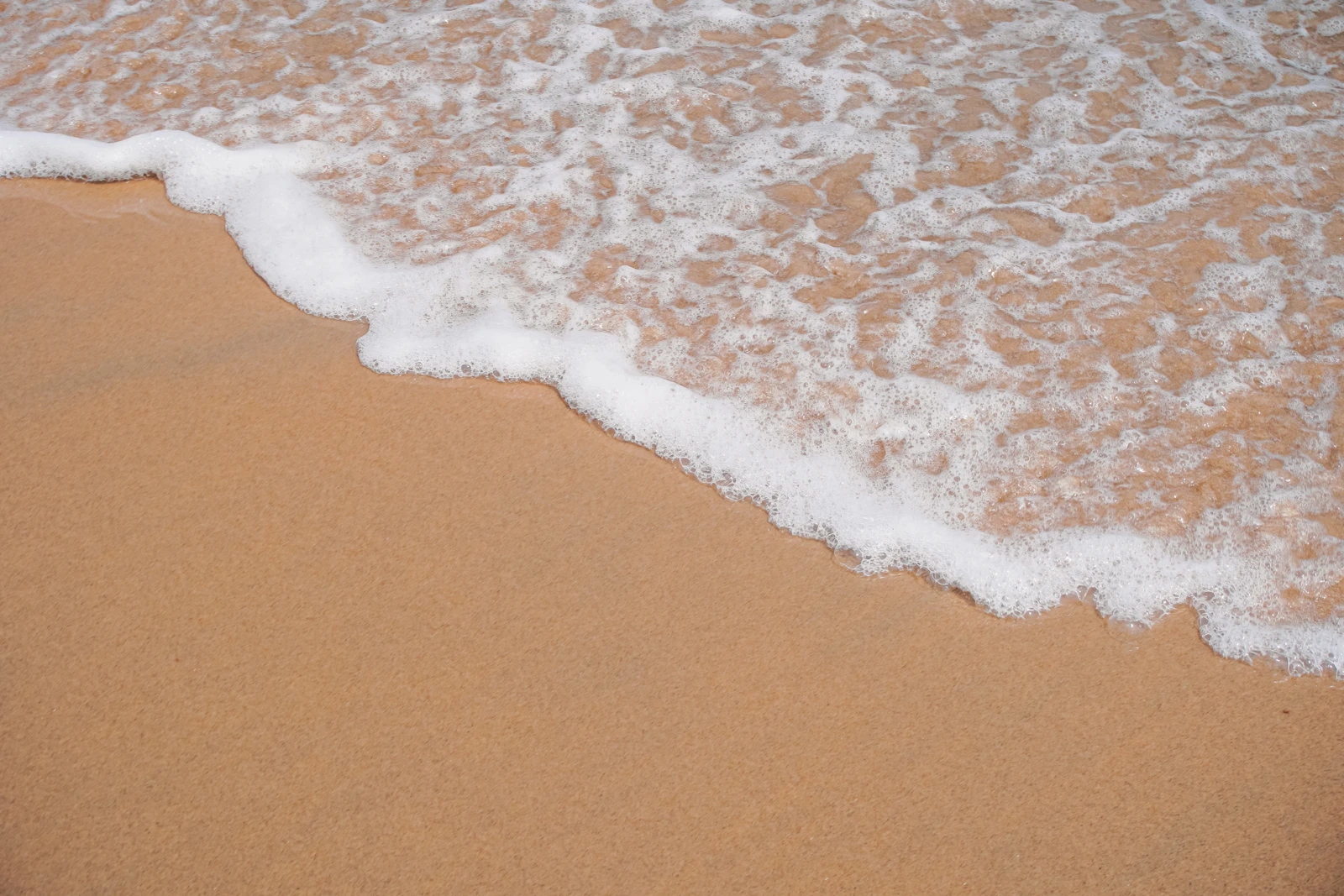 Virginia Beach, Virginia photo 29 by Tammy Chan