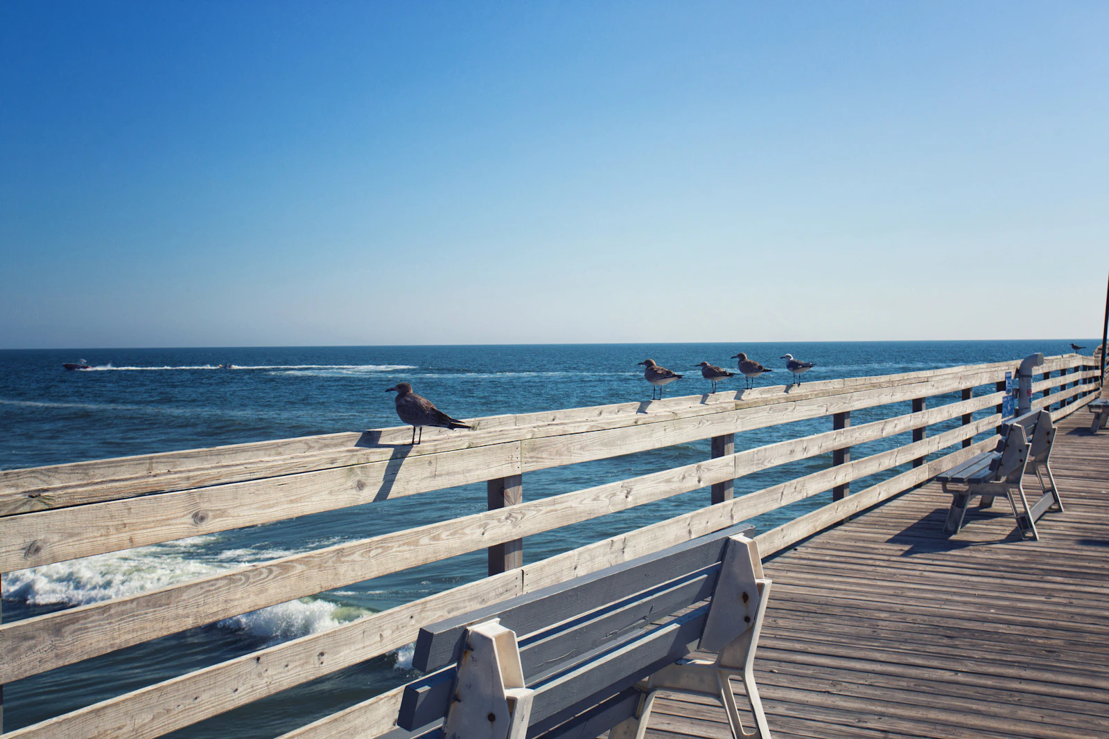 Virginia Beach, Virginia photo 8 by Lison Zhao