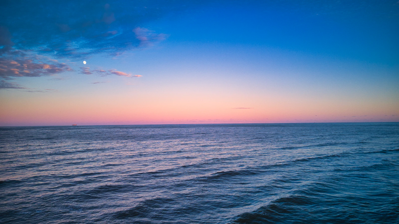 Virginia Beach, Virginia photo 13 by Daniel Halseth