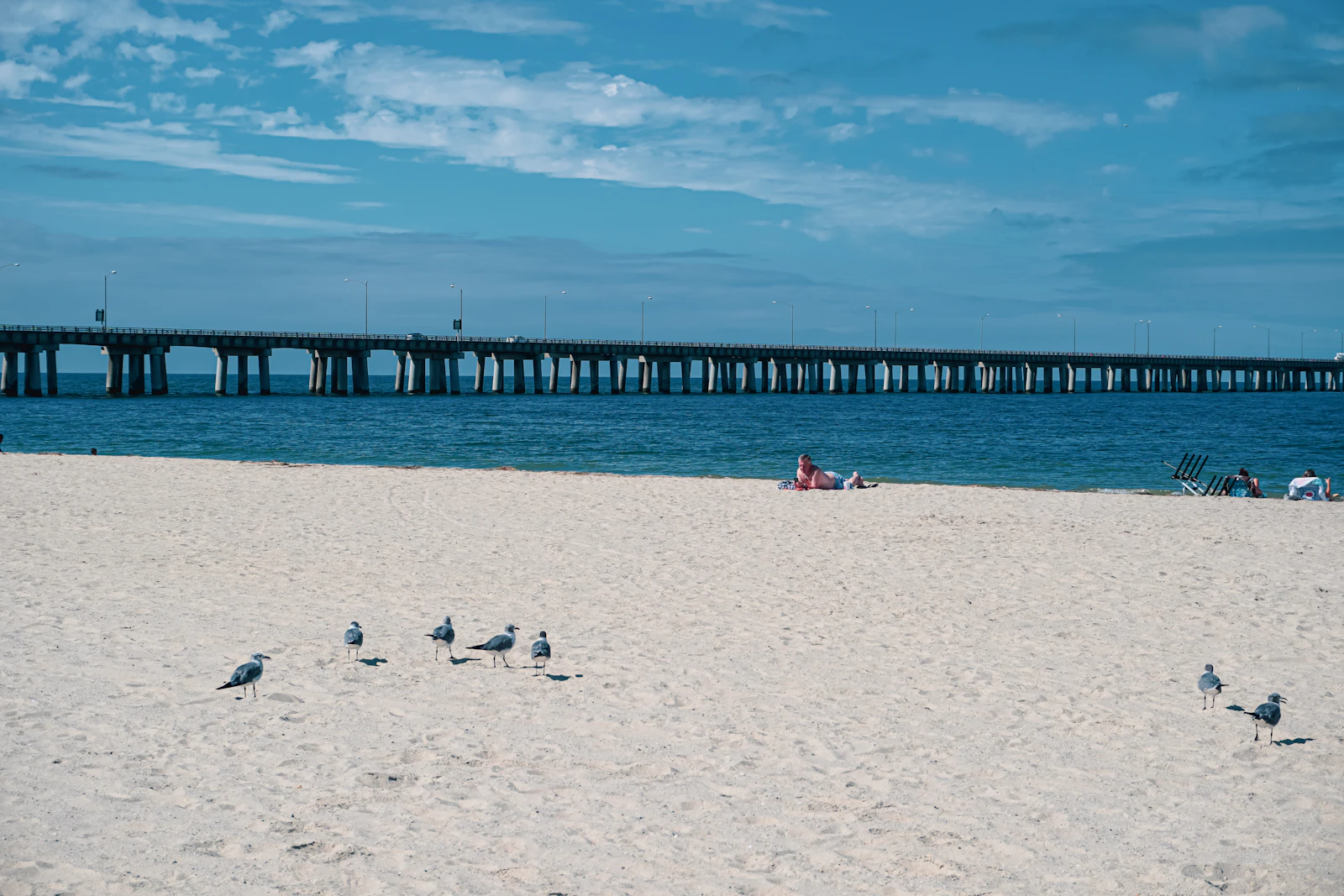 Virginia Beach, Virginia photo 10 by Tammy Chan