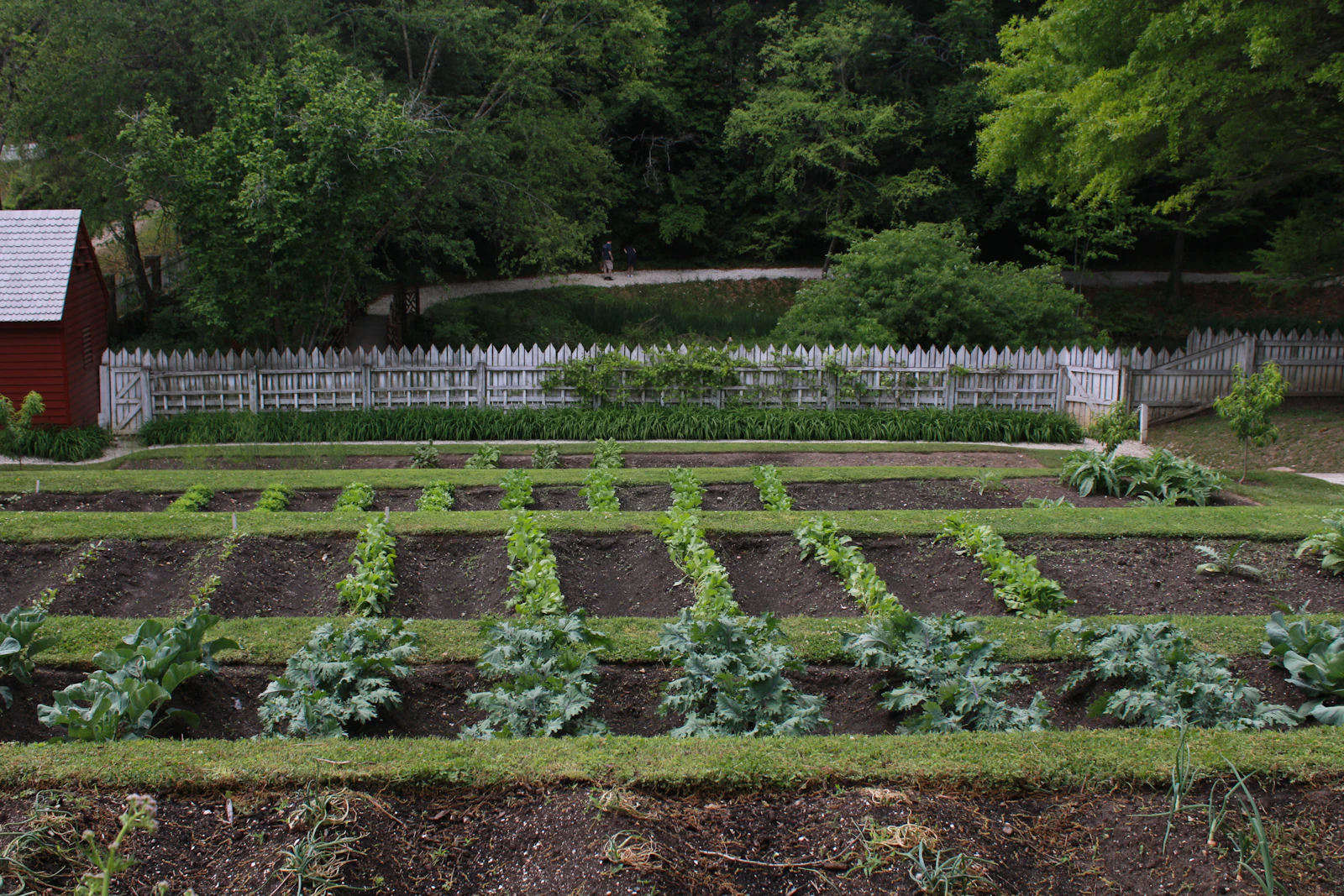 Williamsburg, Virginia photo 5 by Alisa Gingerich