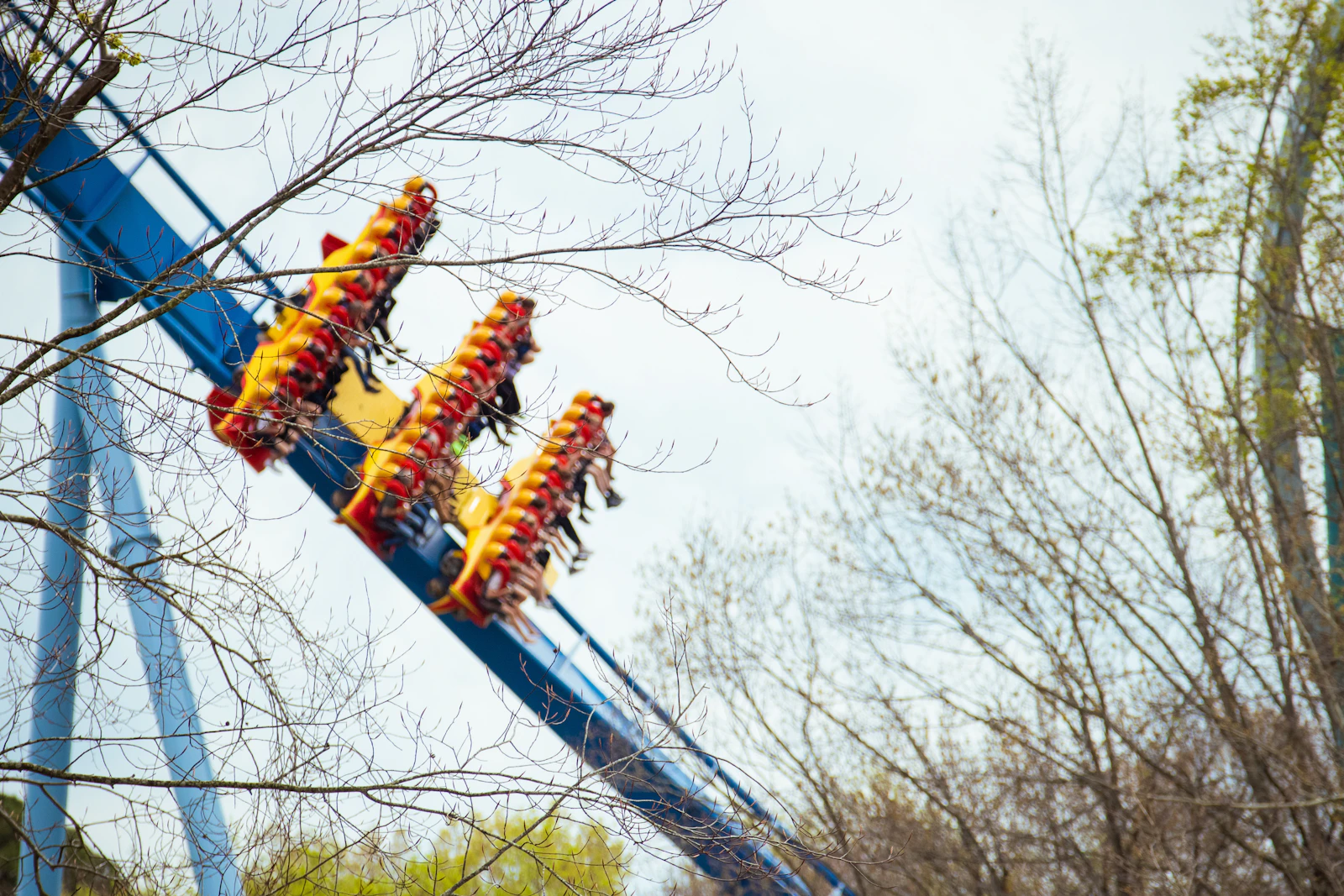 Williamsburg, Virginia photo 28 by Drew Hastings