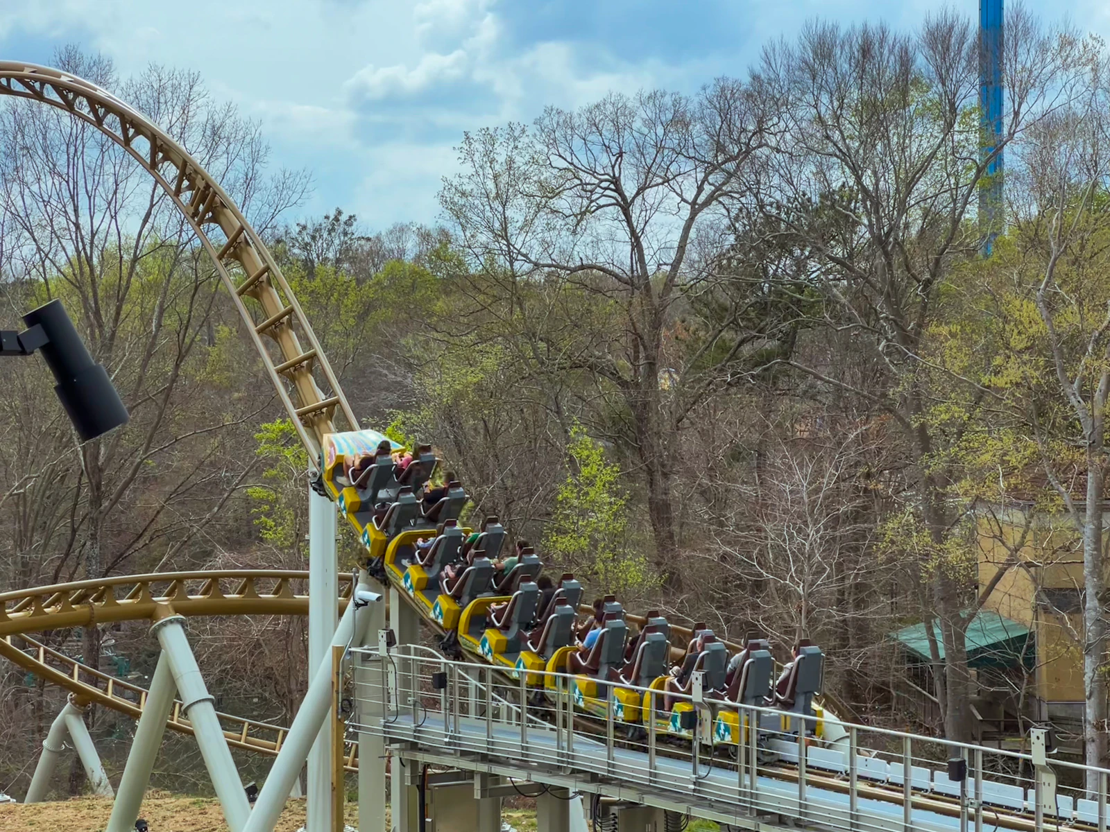 Williamsburg, Virginia photo 13 by Drew Hastings