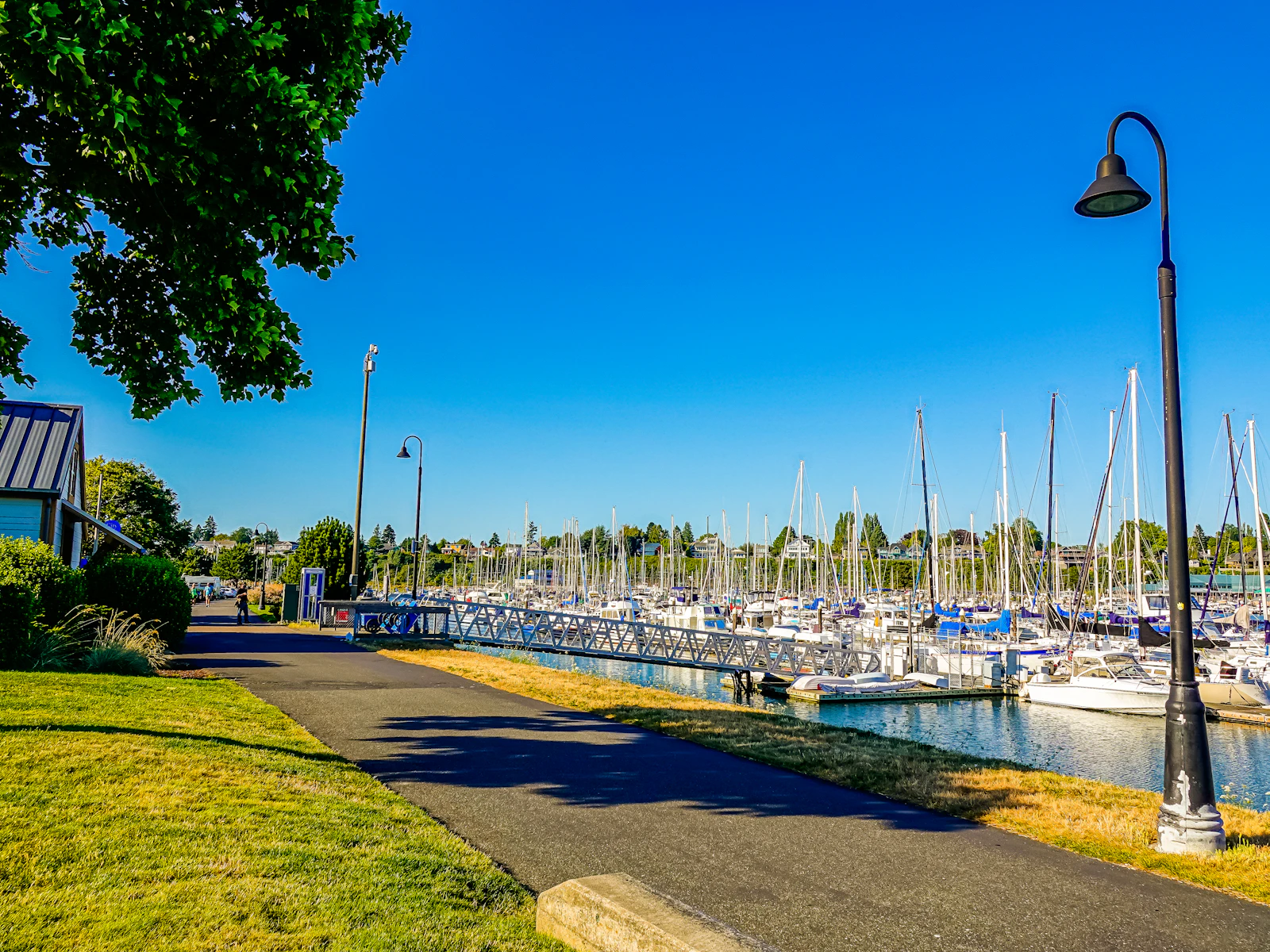 Friday Harbor, Washington photo 28 by Pavł Polø