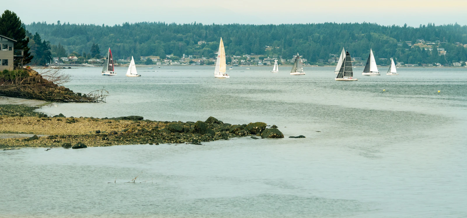 Friday Harbor, Washington photo 29 by fr0ggy5
