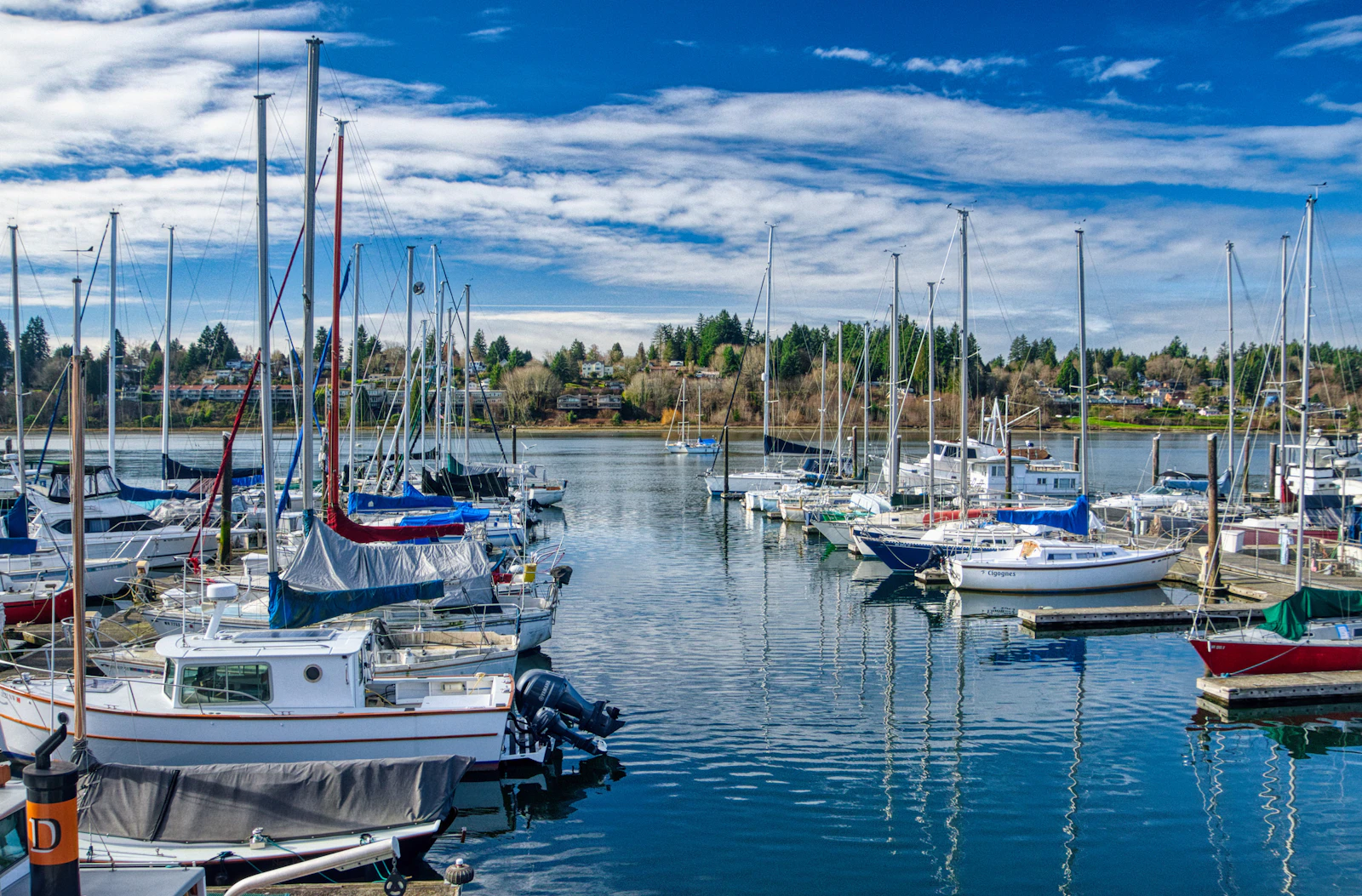 Friday Harbor, Washington photo 30 by Townsend Walton