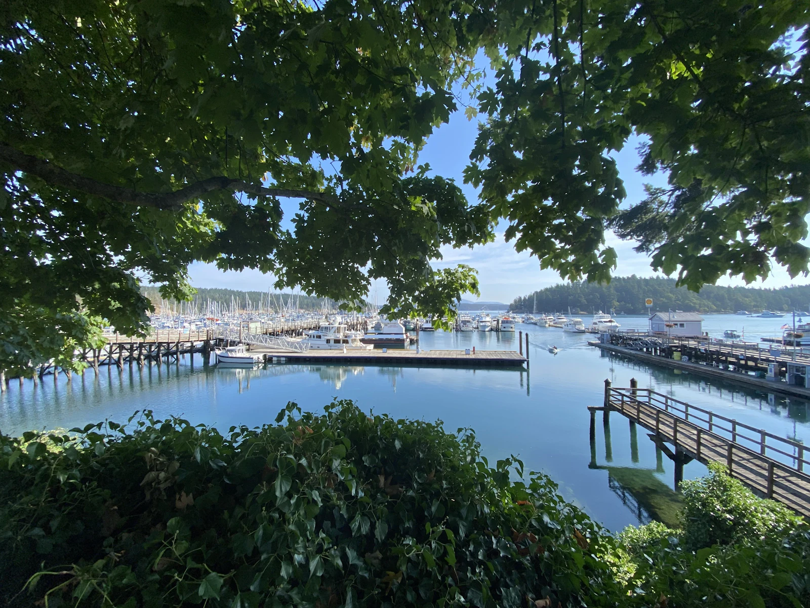 Friday Harbor, Washington photo 4 by Jim Petkiewicz
