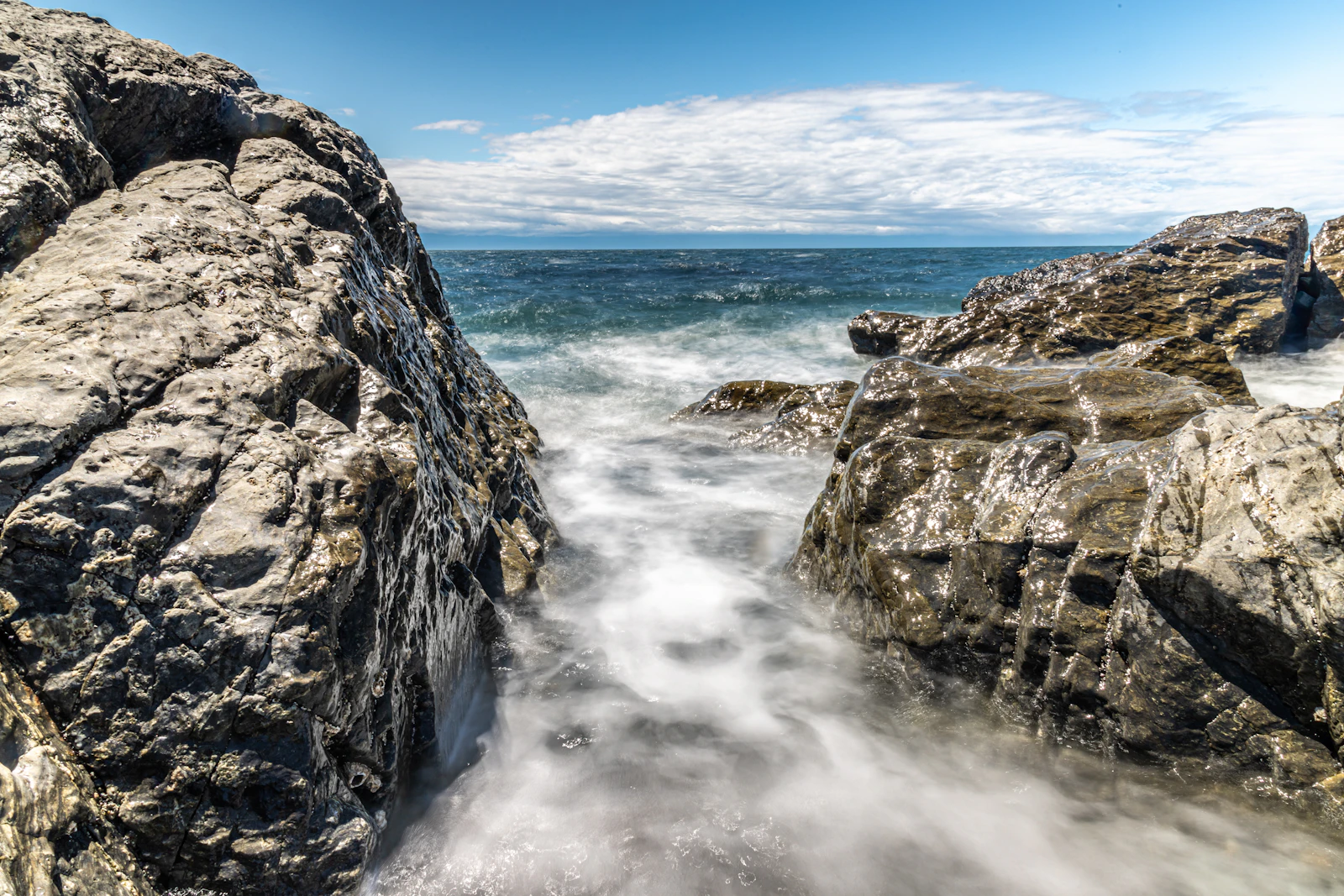 Friday Harbor, Washington photo 14 by Eric Brehm