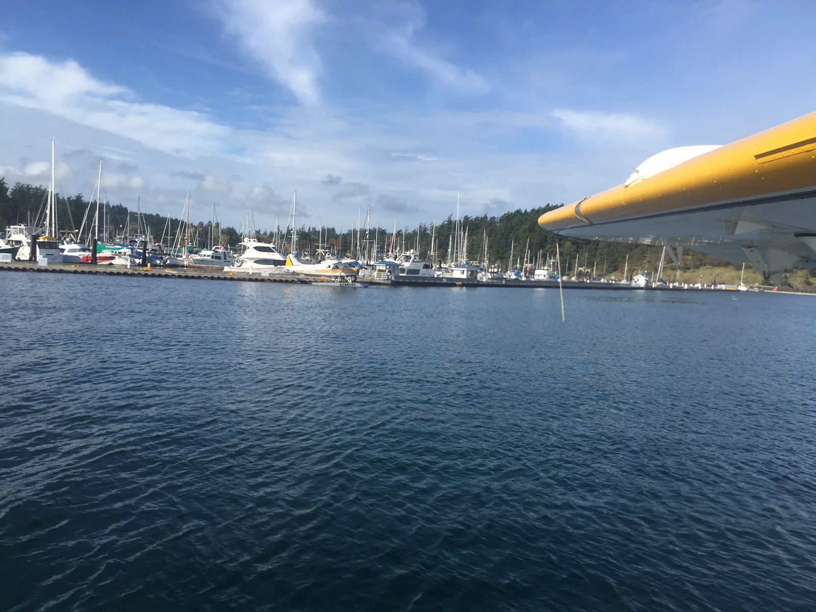 Friday Harbor, Washington photo 11 by Jim Petkiewicz