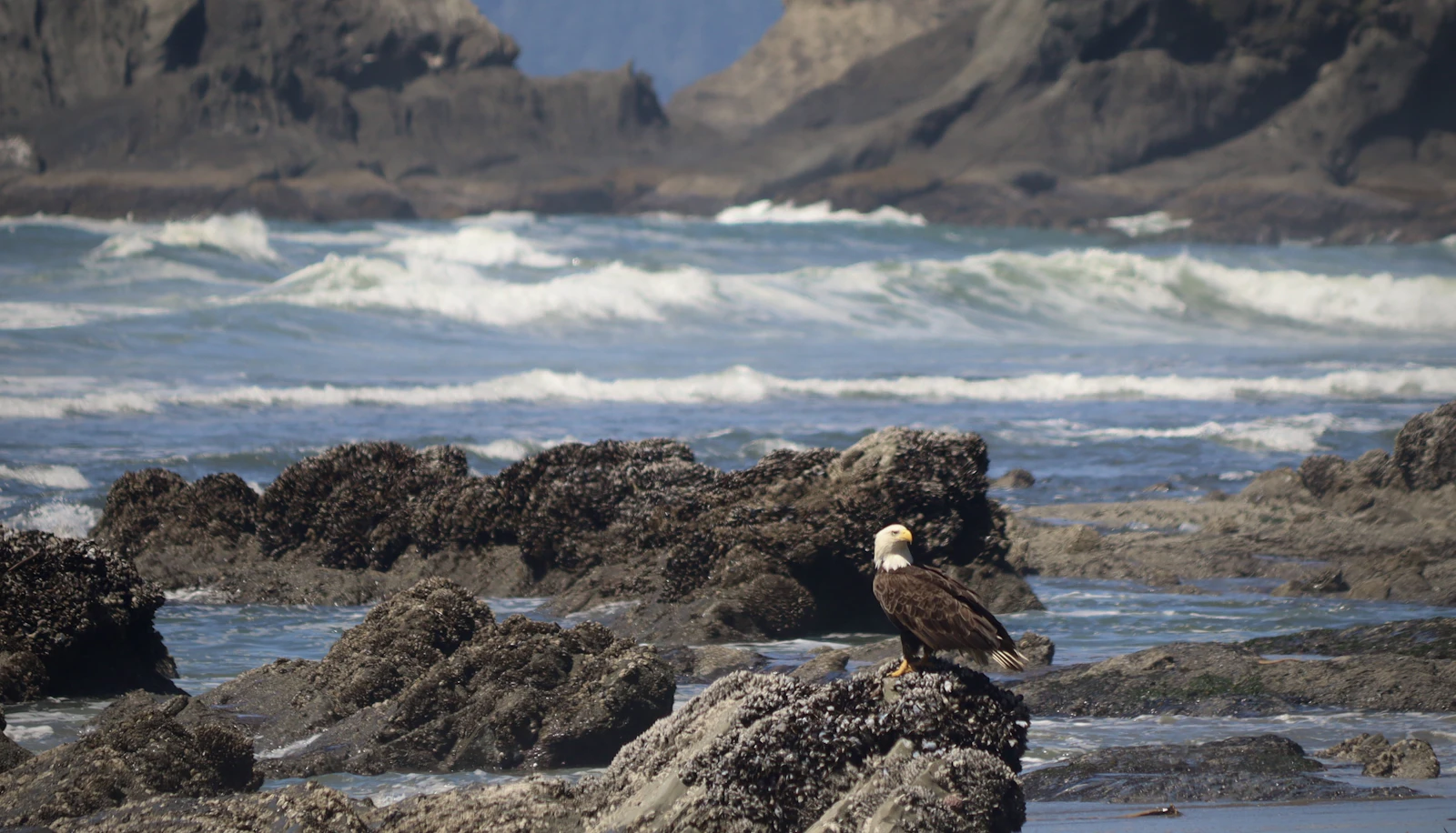 Port Angeles, Washington photo 13 by Josh Smith