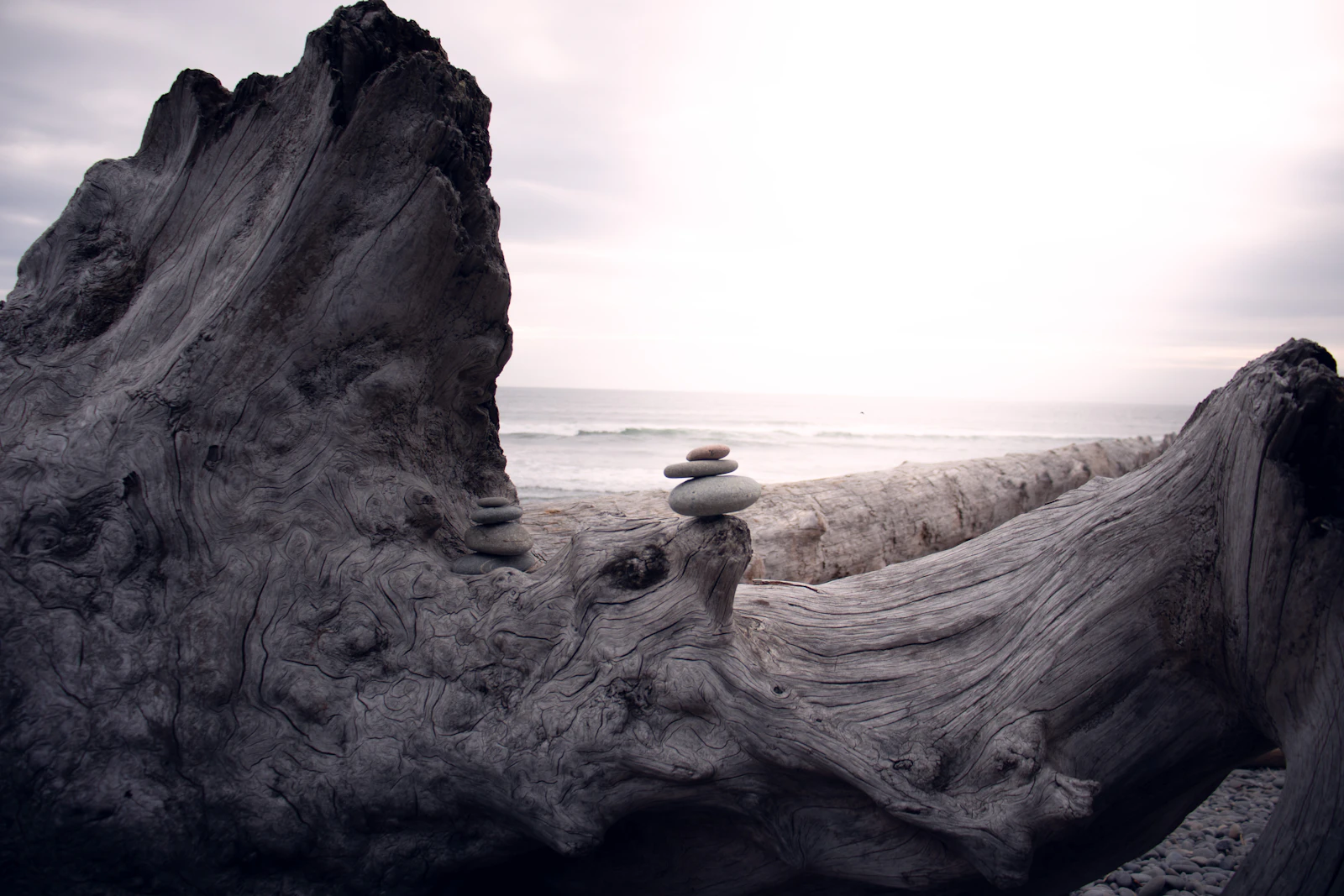 Port Angeles, Washington photo 24 by Kael Escobar