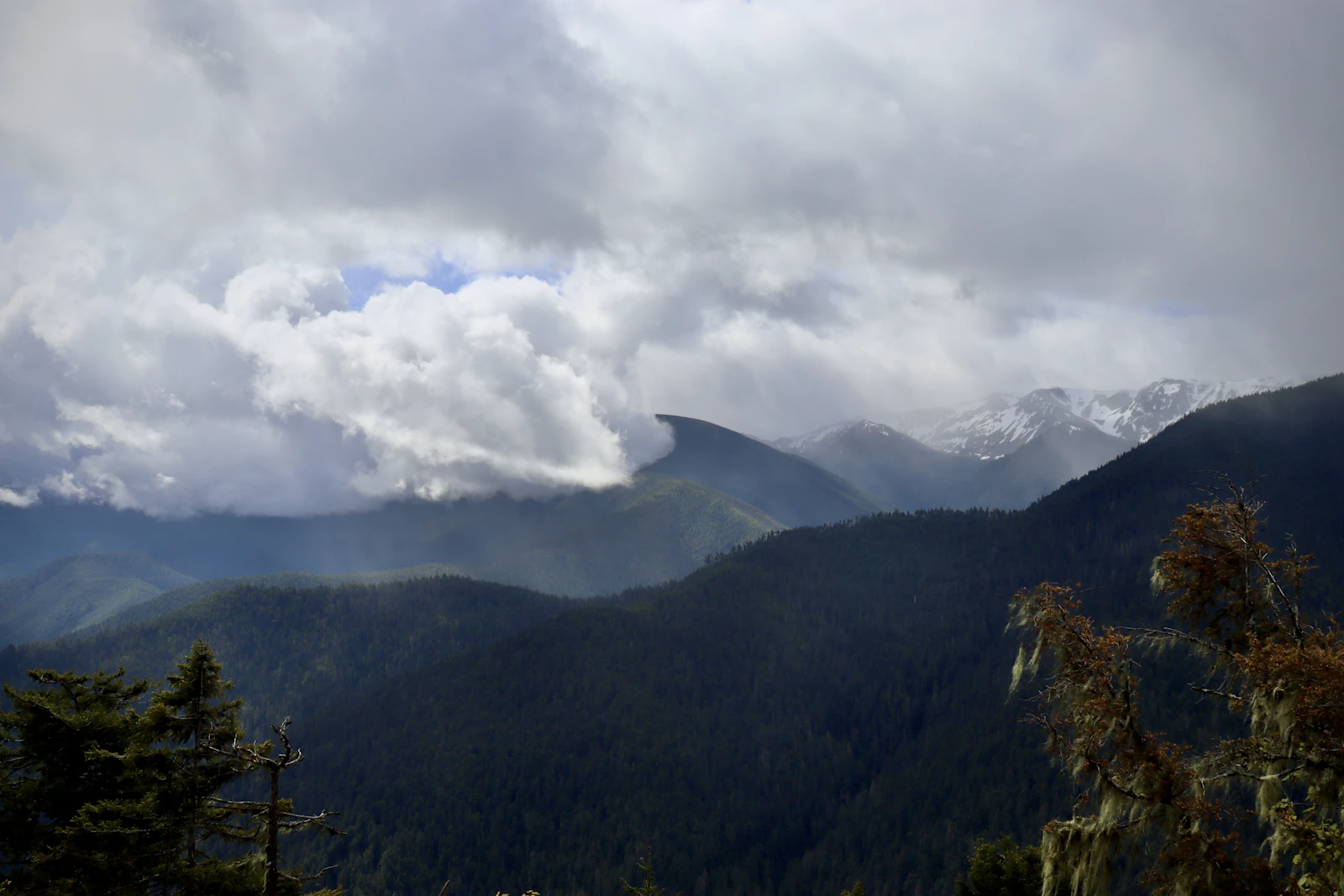 Port Angeles, Washington photo 22 by Josh Smith