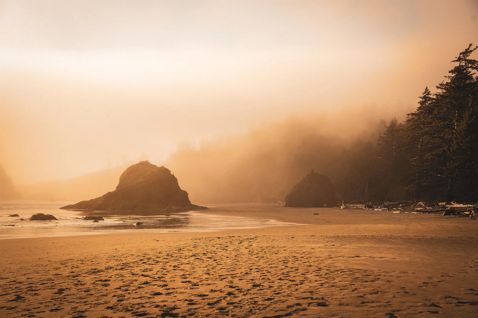 Port Angeles, Washington photo 5 by Jake Lille