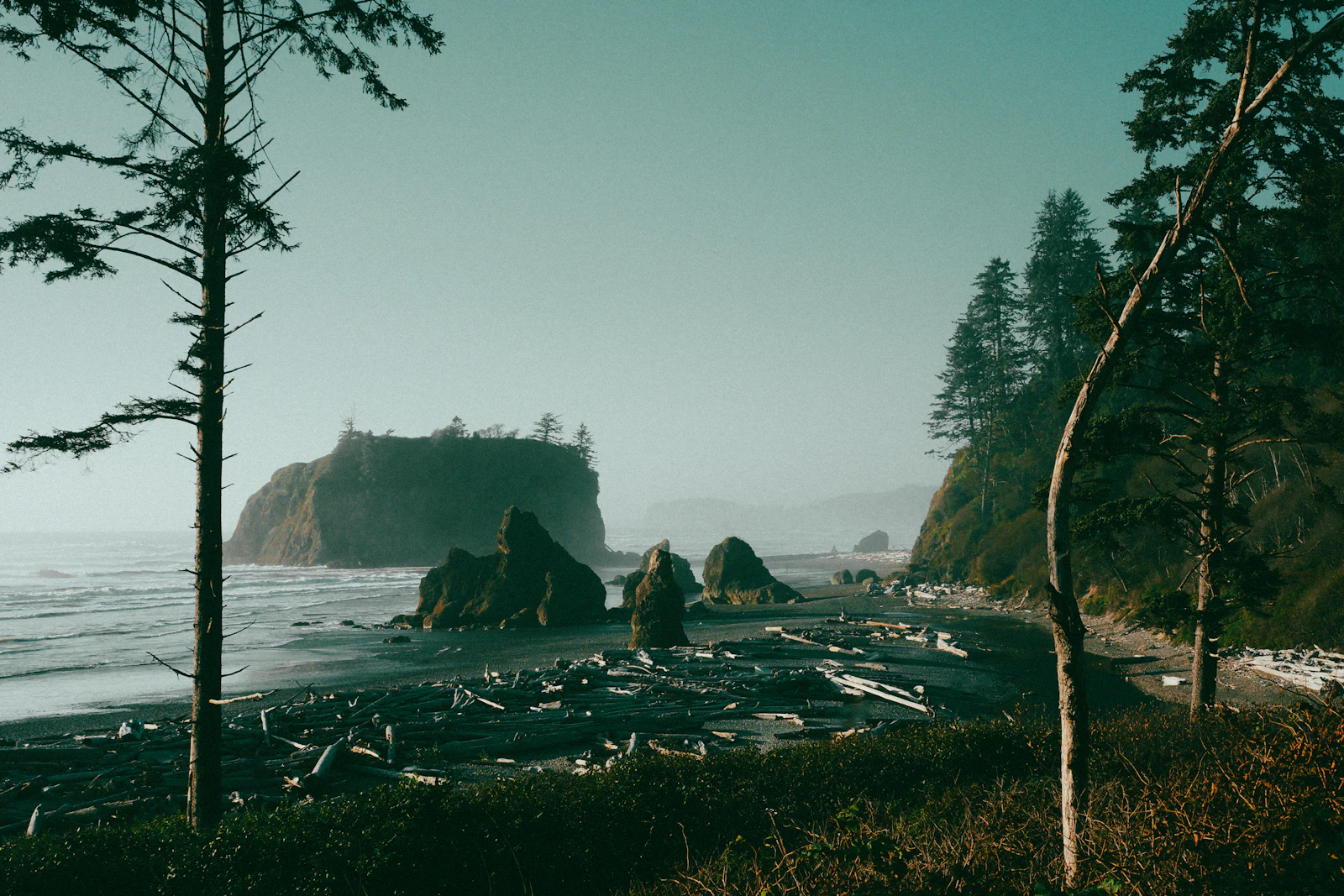 Port Angeles, Washington photo 14 by Ivan Nilsson