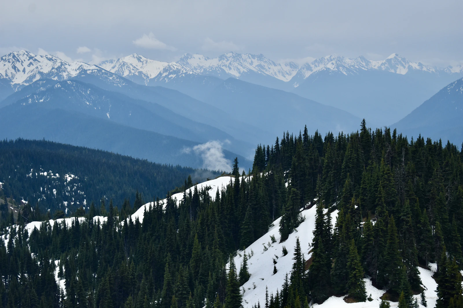 Port Angeles, Washington photo 16 by Greg Garnhart