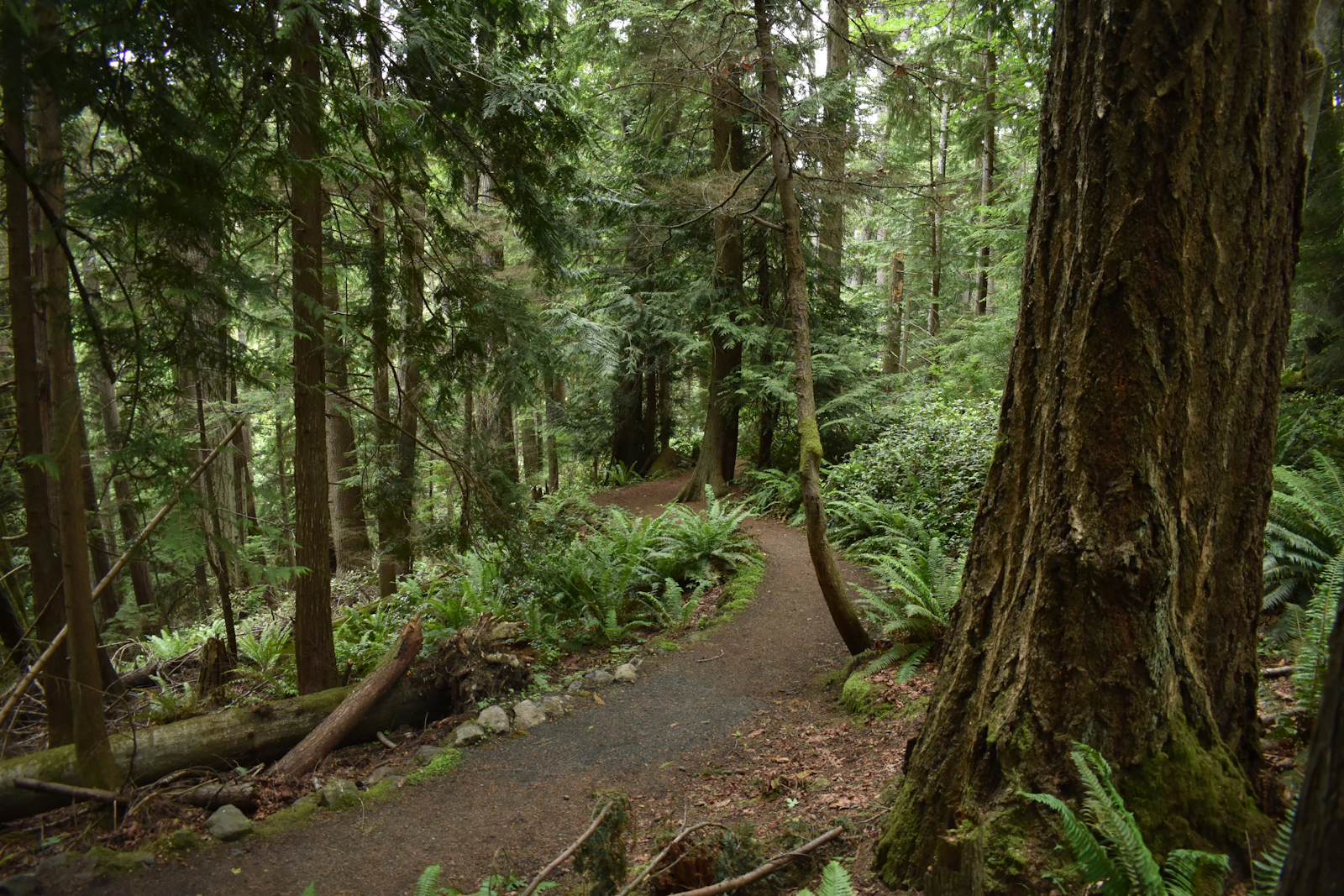 Port Angeles, Washington photo 25 by Greg Garnhart