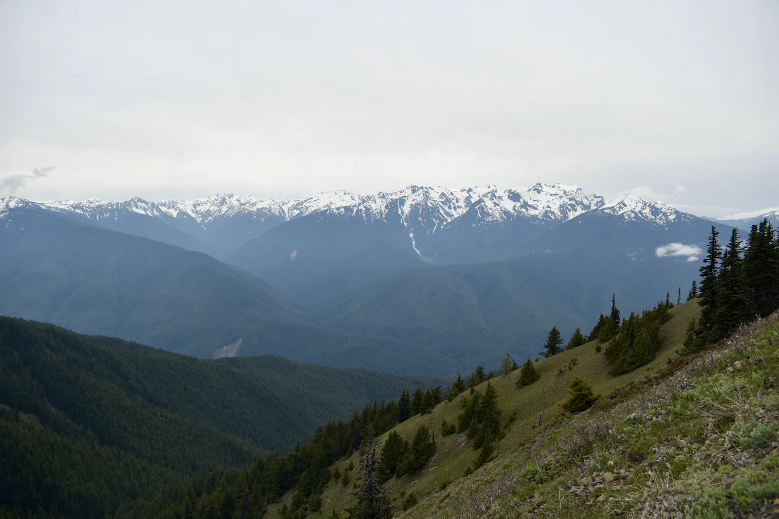 Port Angeles, Washington photo 23 by Greg Garnhart