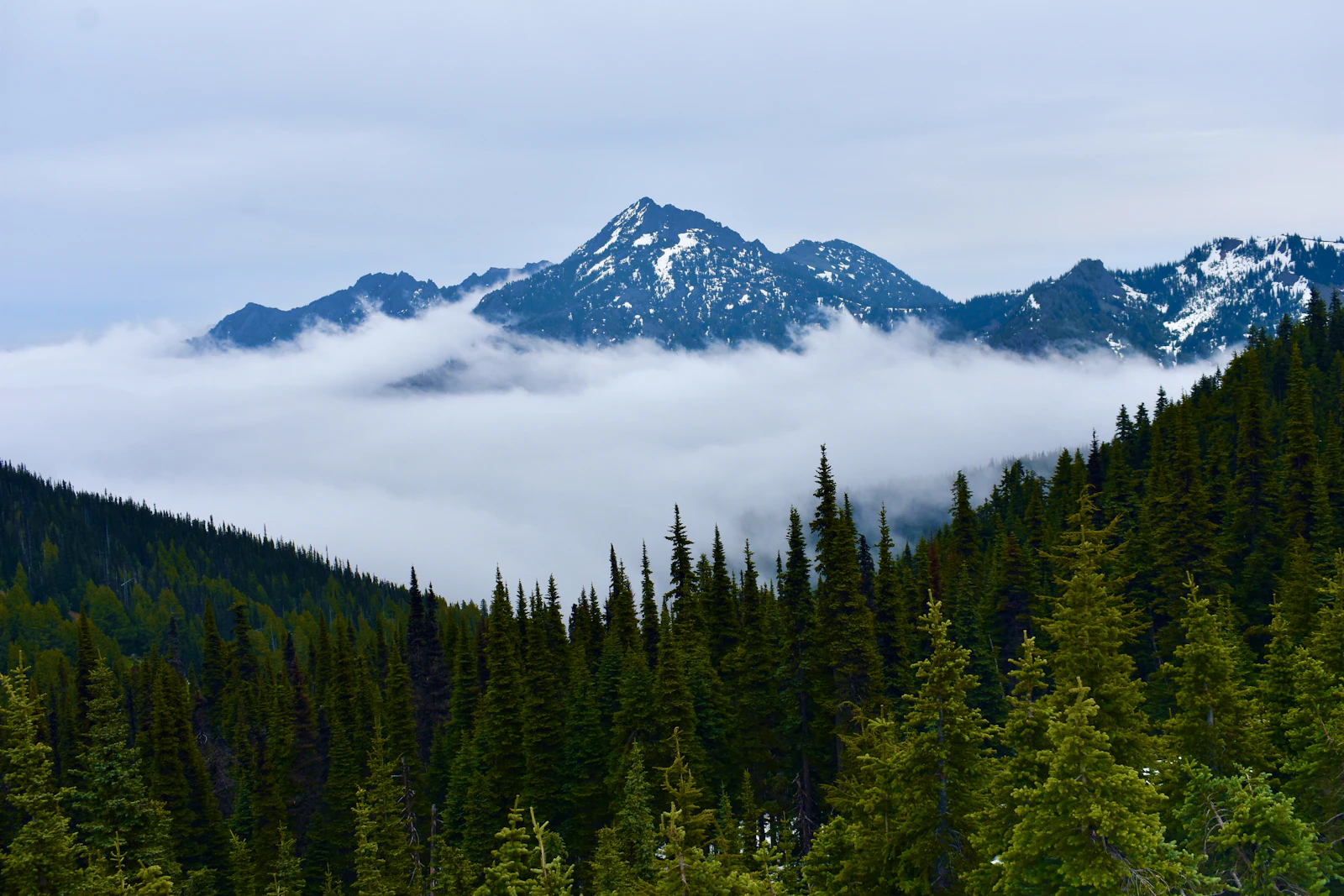 Port Angeles, Washington photo 17 by Greg Garnhart