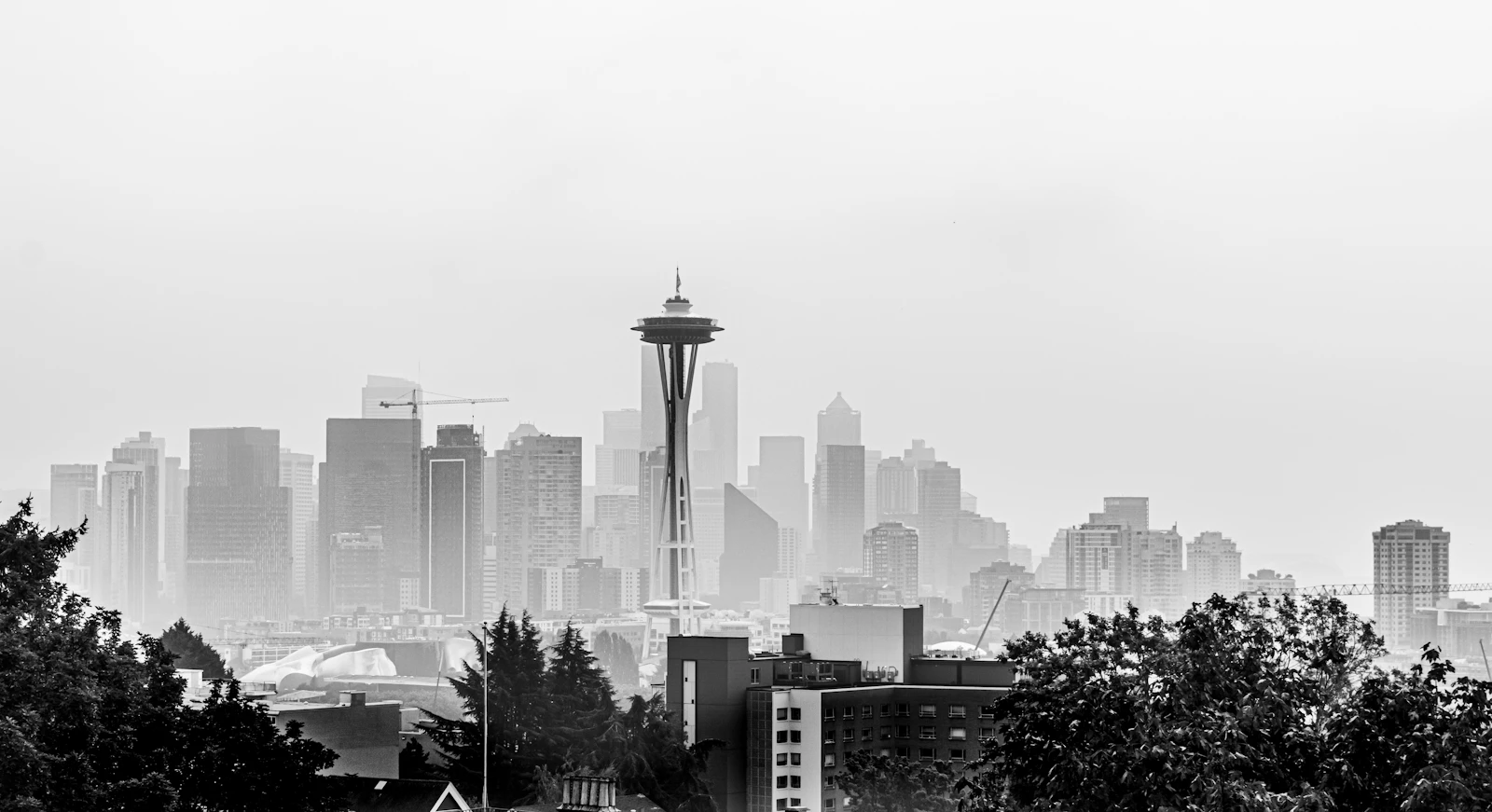 Seattle, Washington photo 13 by Patty Zavala