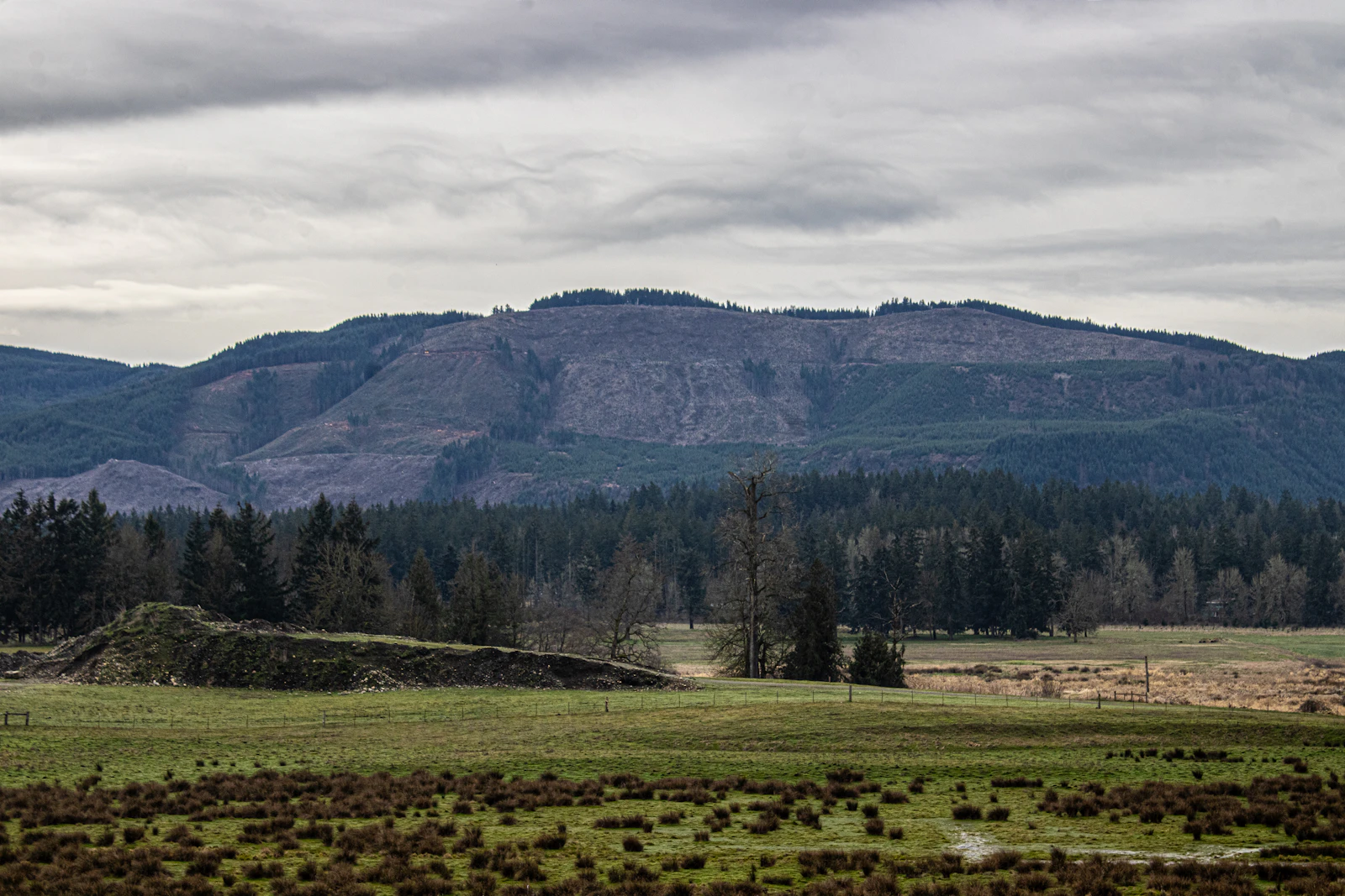 Walla Walla, Washington photo 14 by Peter Robbins