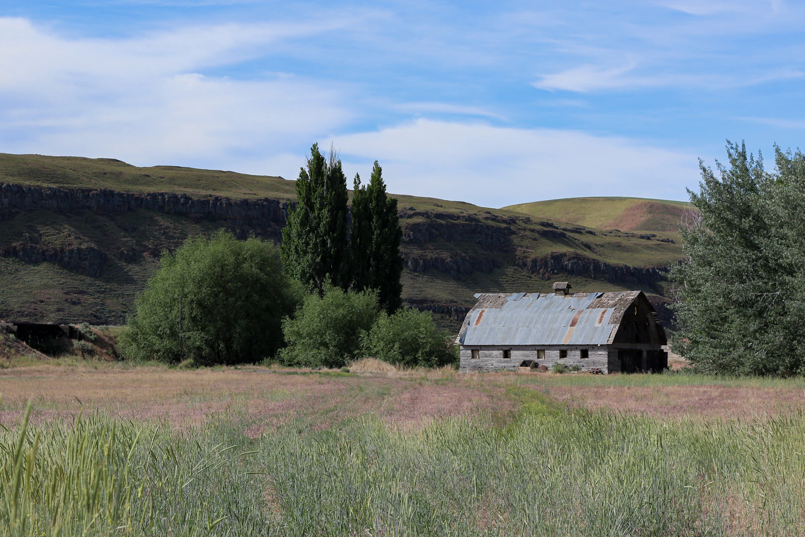 Walla Walla, Washington photo 21 by Theo Bickel