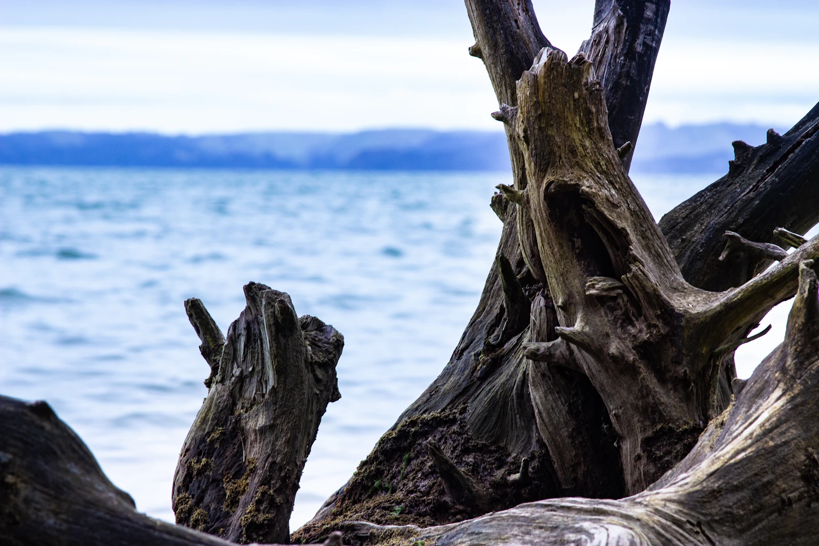 Green Bay, Wisconsin photo 9 by Igor Kazantsev