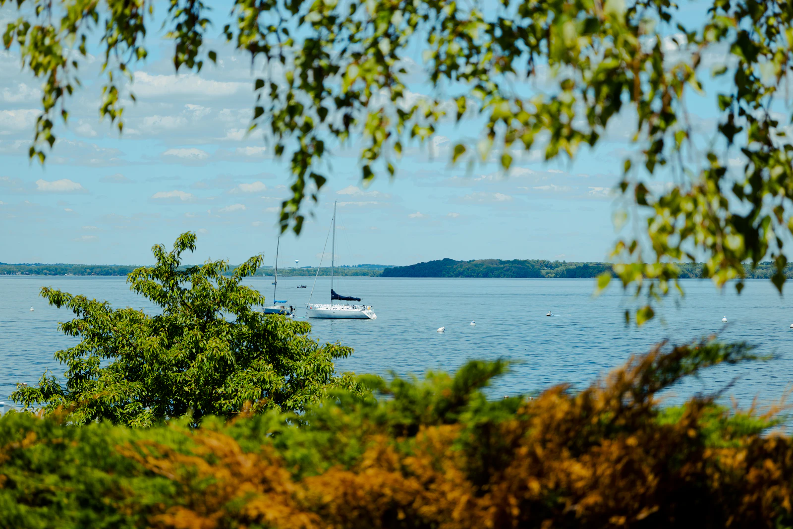 Madison, Wisconsin photo 21 by Vincent Y @USA
