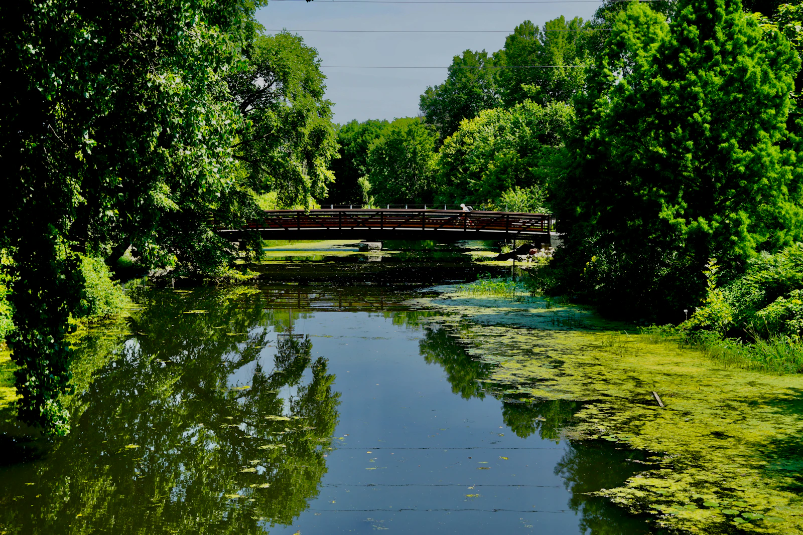 Madison, Wisconsin photo 26 by Beth Macdonald