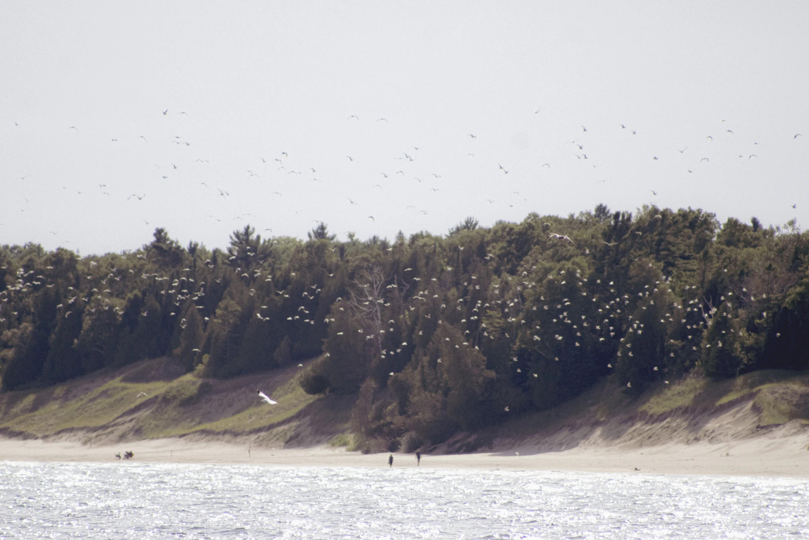 Sturgeon Bay, Wisconsin photo 14 by Gabriel Meinert