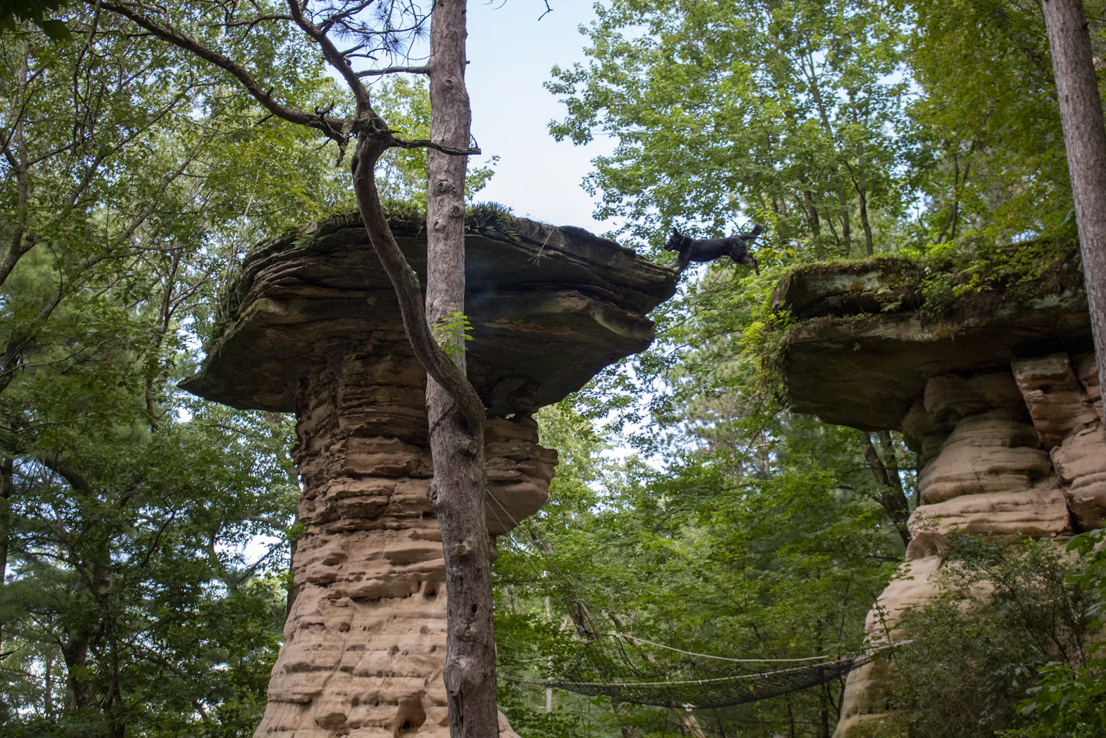 Wisconsin Dells, Wisconsin photo 19 by Ray Graciano
