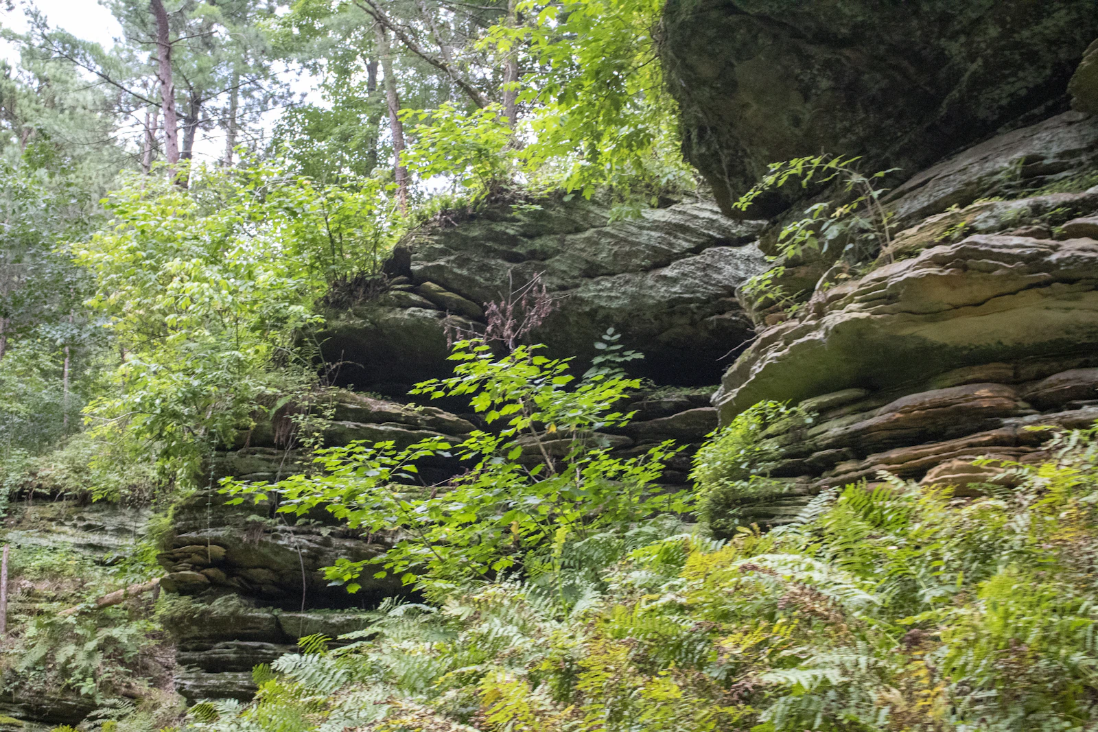 Wisconsin Dells, Wisconsin photo 16 by Ray Graciano