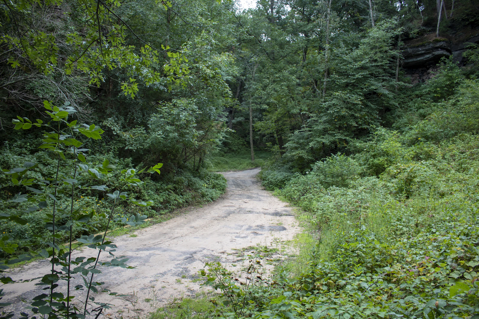 Wisconsin Dells, Wisconsin photo 23 by Ray Graciano