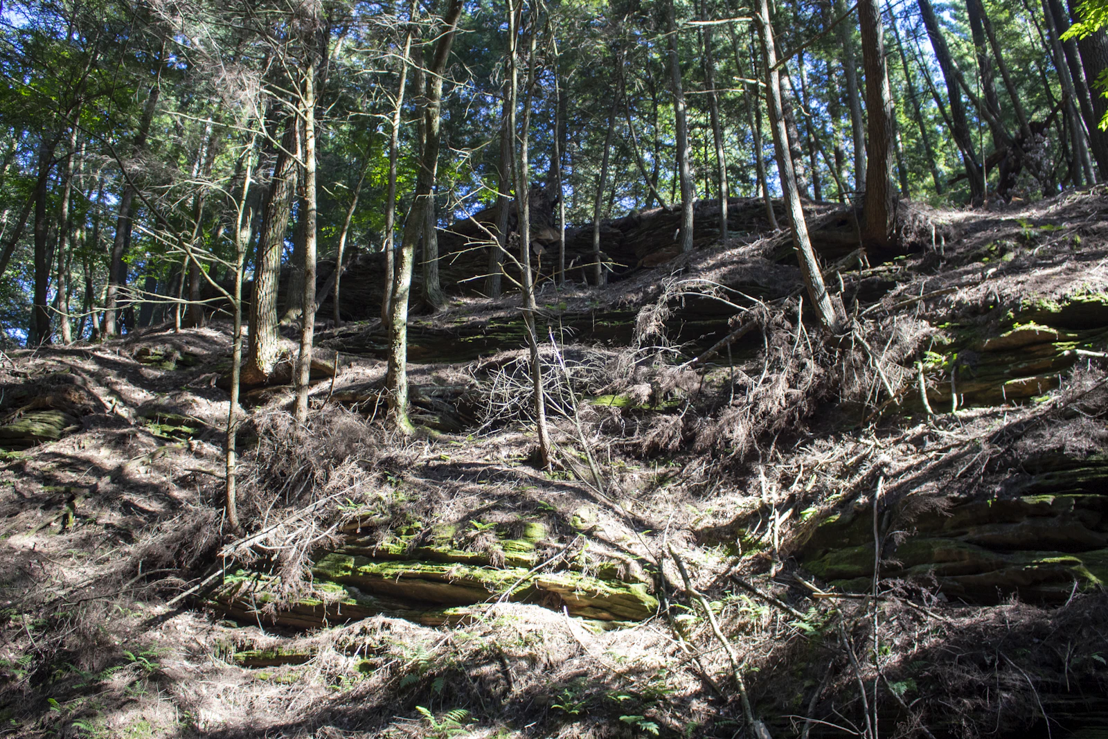 Wisconsin Dells, Wisconsin photo 14 by Ray Graciano