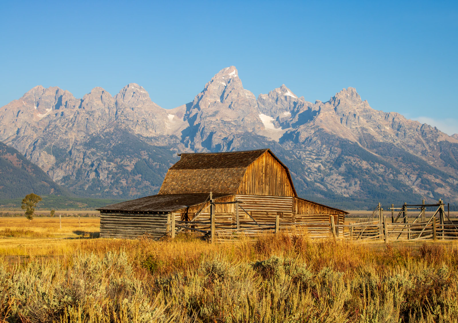 Jackson, Wyoming photo 11 by Cora Leach