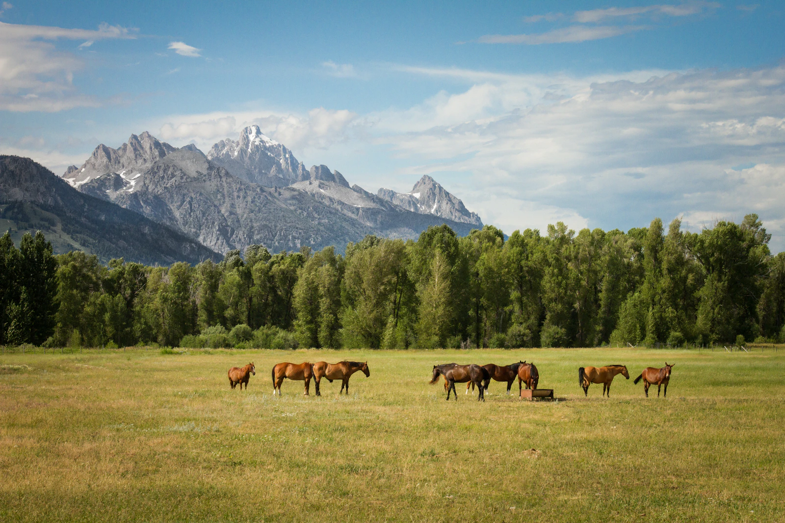 Jackson, Wyoming photo 6 by Holly Mandarich