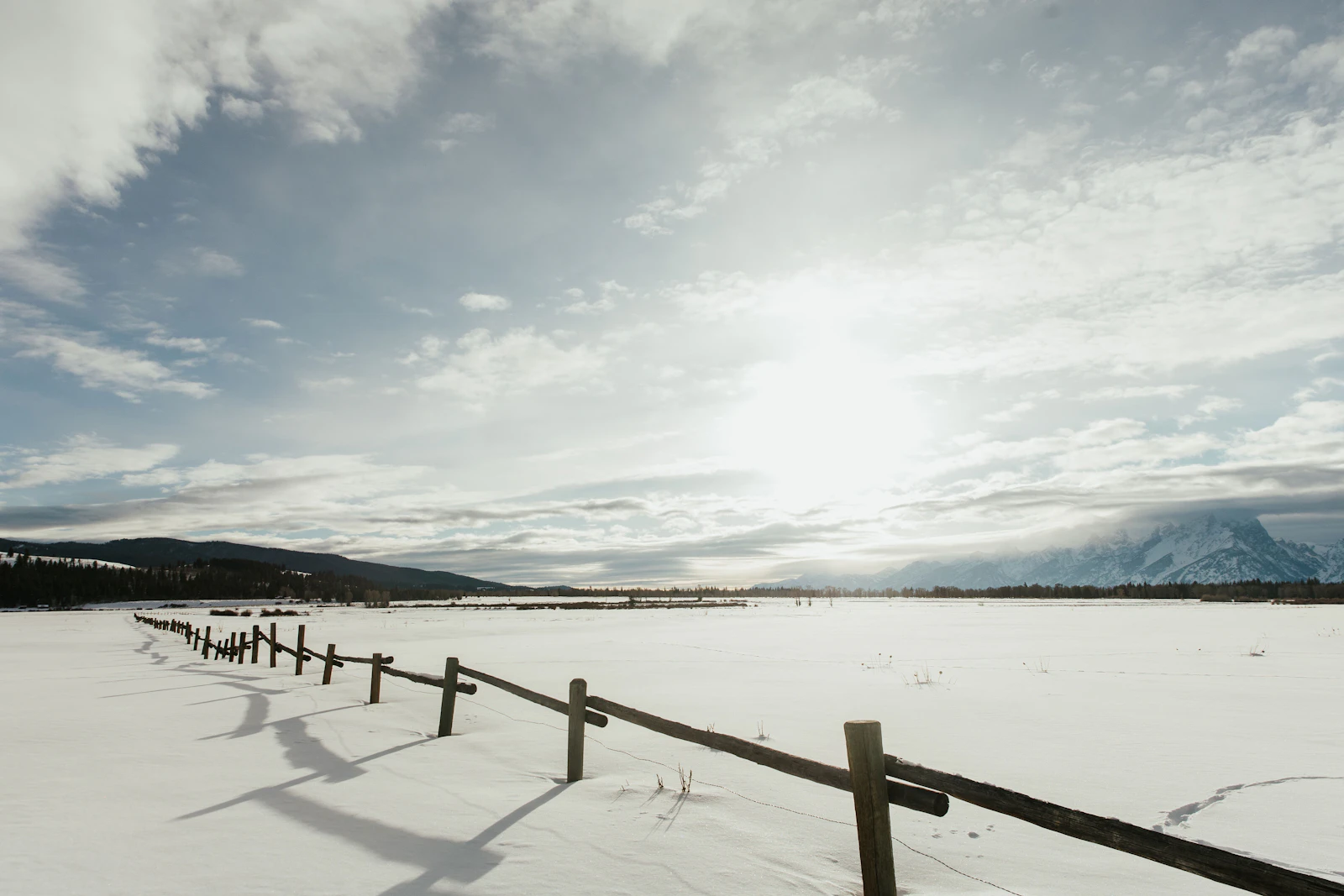 Jackson, Wyoming photo 22 by Ethan Walsweer