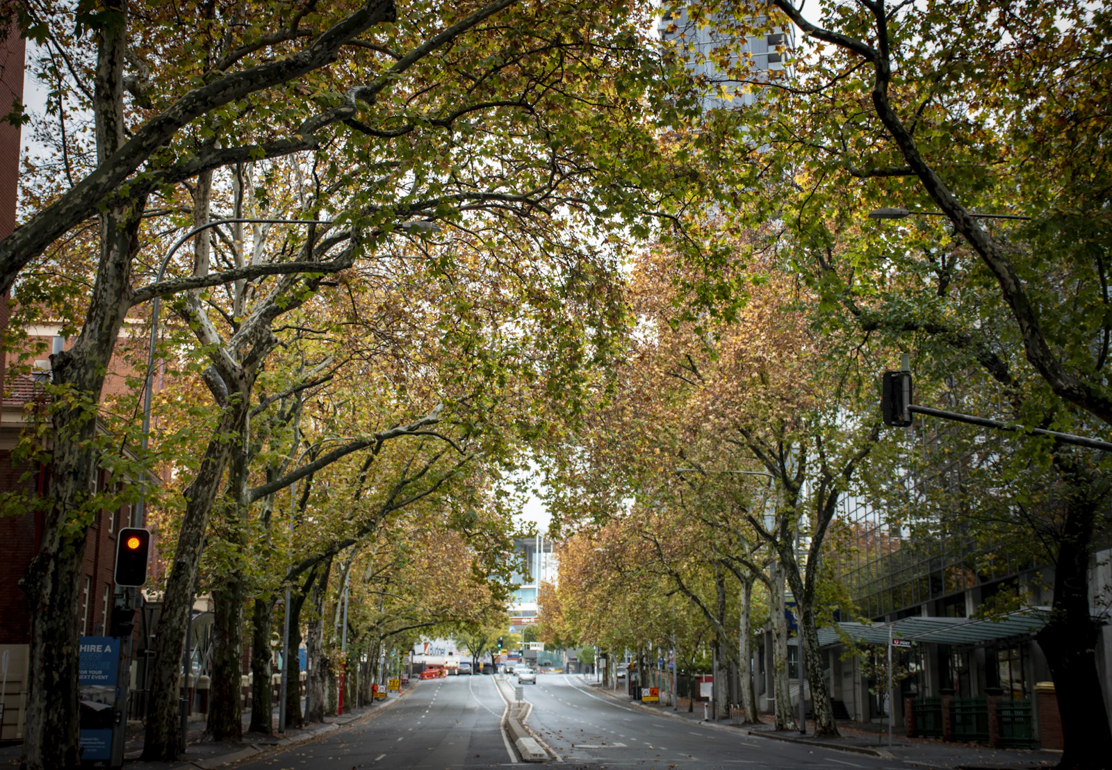 Adelaide, Australia photo 15 by Syed Hadi