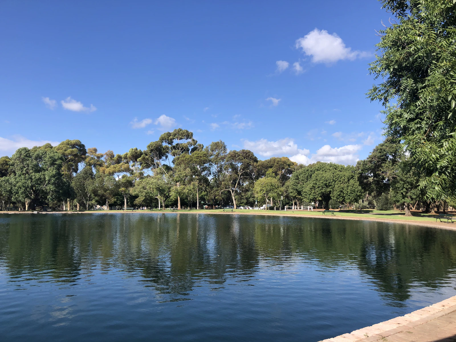 Adelaide, Australia photo 21 by Pierre-Henry Soria