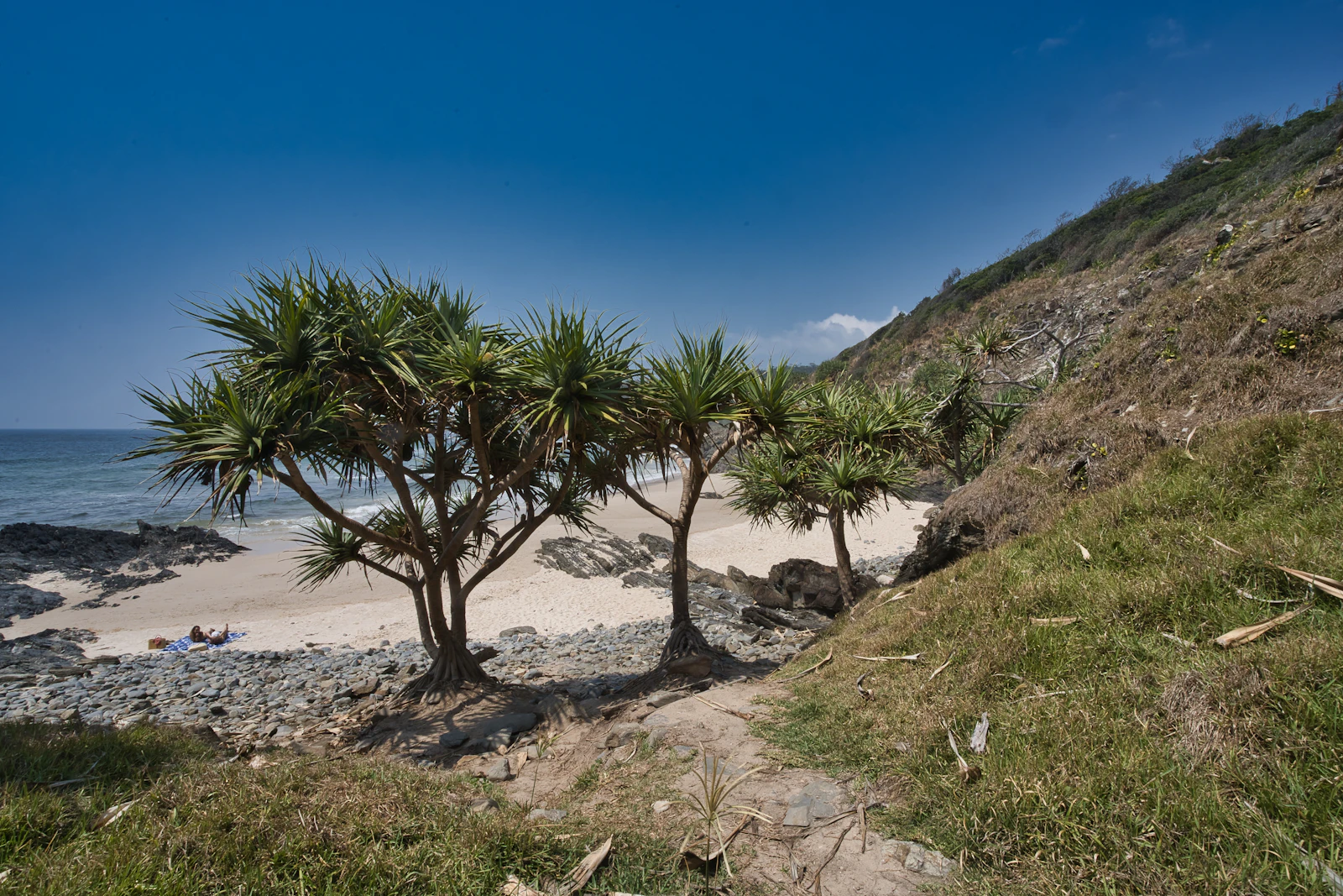 Byron Bay, Australia photo 27 by peter porter